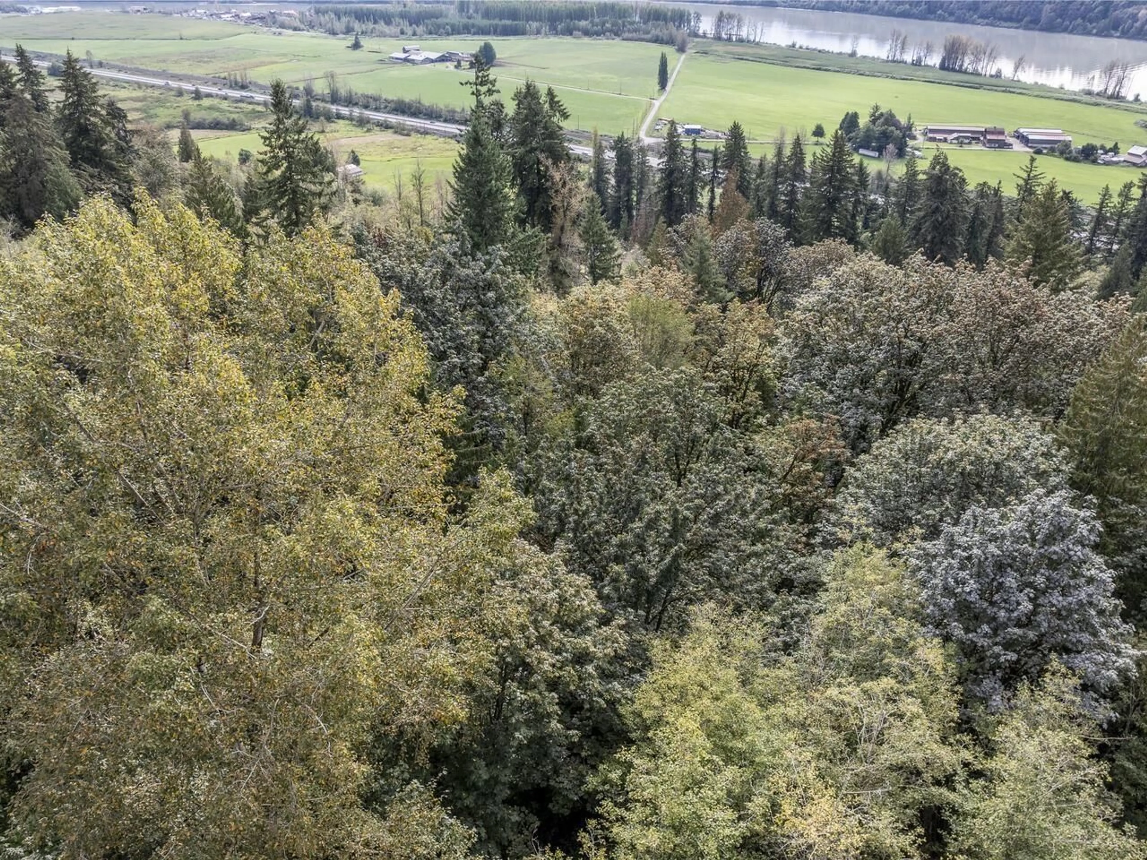 A pic from outside/outdoor area/front of a property/back of a property/a pic from drone, forest/trees view for 30362 GUNN, Mission British Columbia V4S1H2