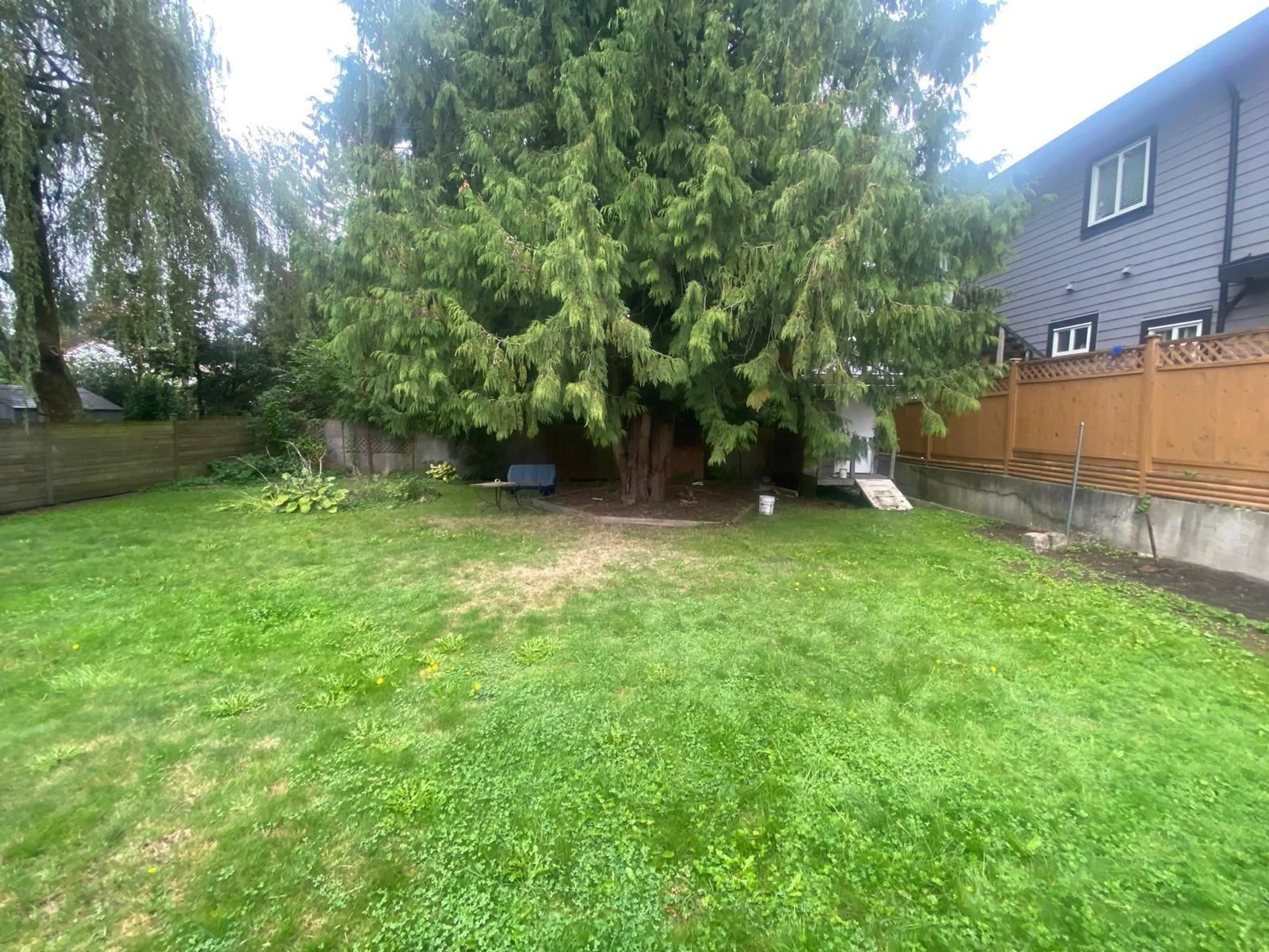 Frontside or backside of a home, the fenced backyard for 14203 110 AVENUE, Surrey British Columbia V3R1Z6