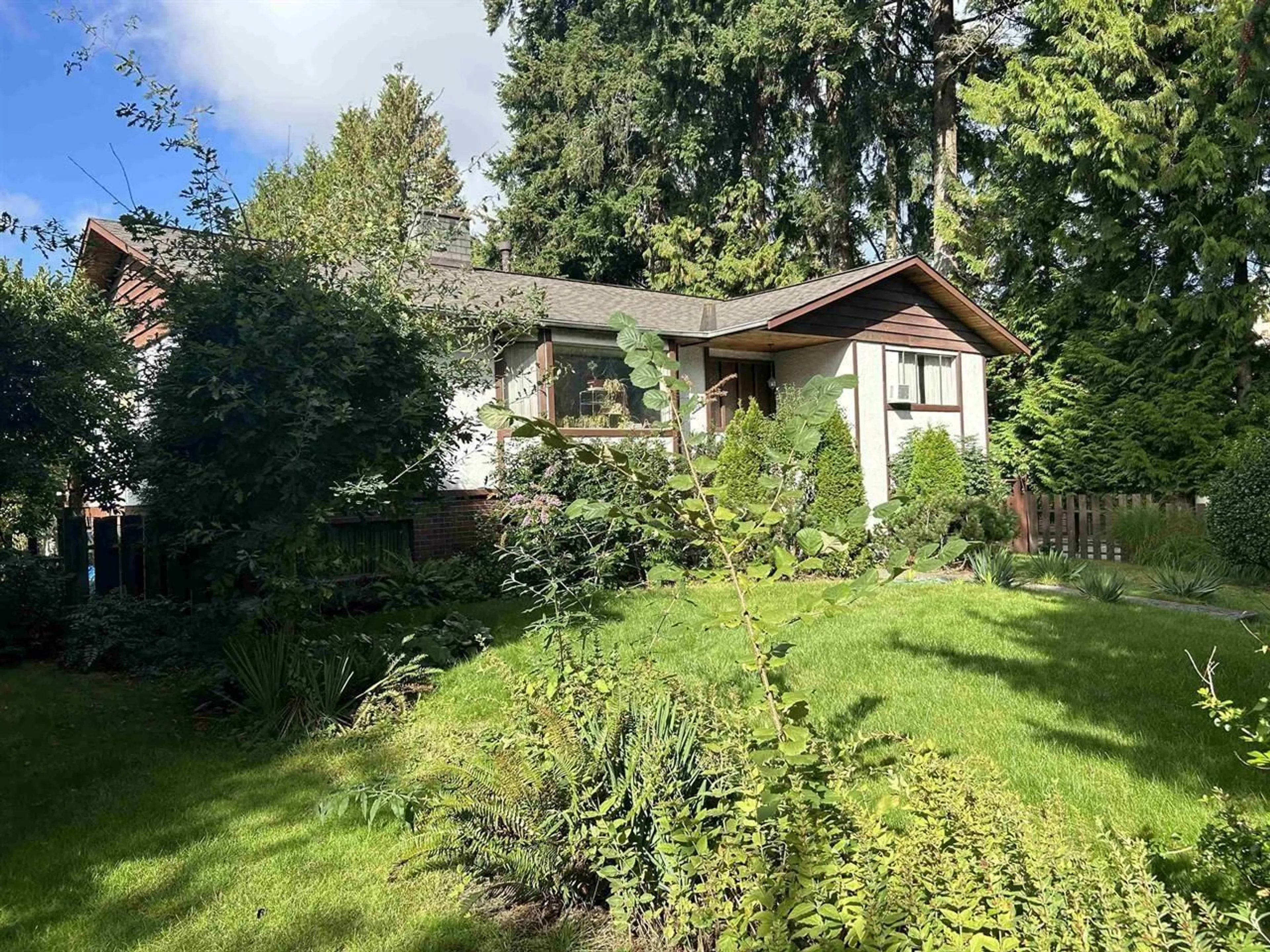 A pic from outside/outdoor area/front of a property/back of a property/a pic from drone, forest/trees view for 10297 144A, Surrey British Columbia V3R6M8