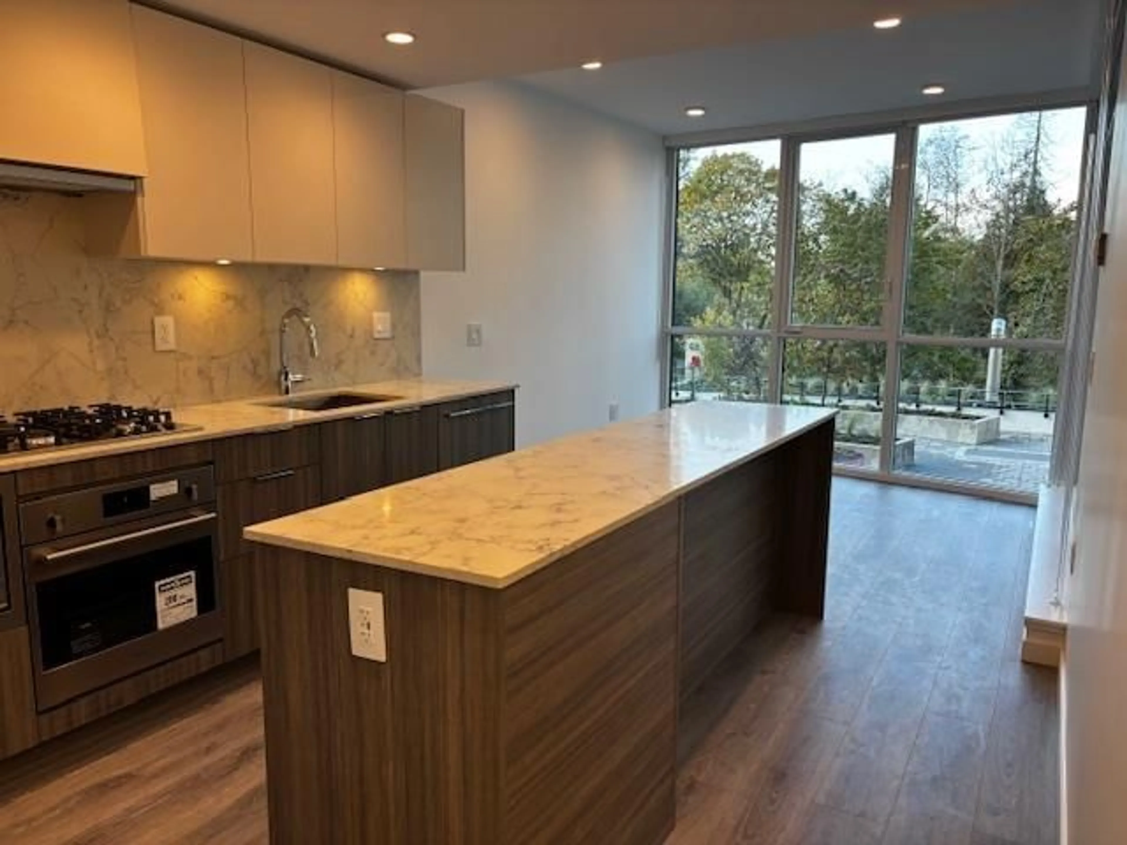 Open concept kitchen, wood/laminate floor for 304 - 10333 133, Surrey British Columbia V0V0V0