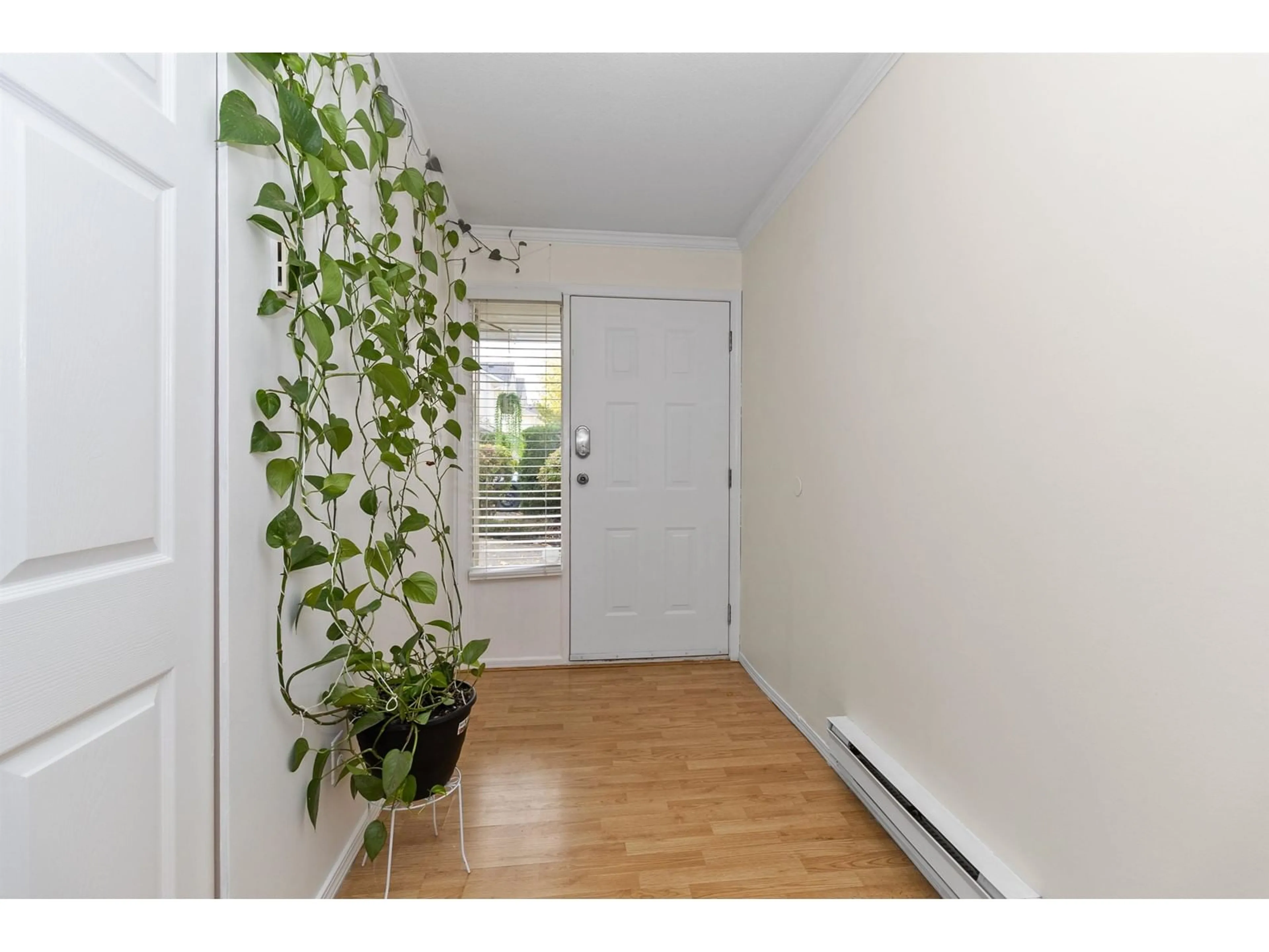 Indoor entryway, wood floors for 53 31255 UPPER MACLURE DRIVE, Abbotsford British Columbia V2T5N4