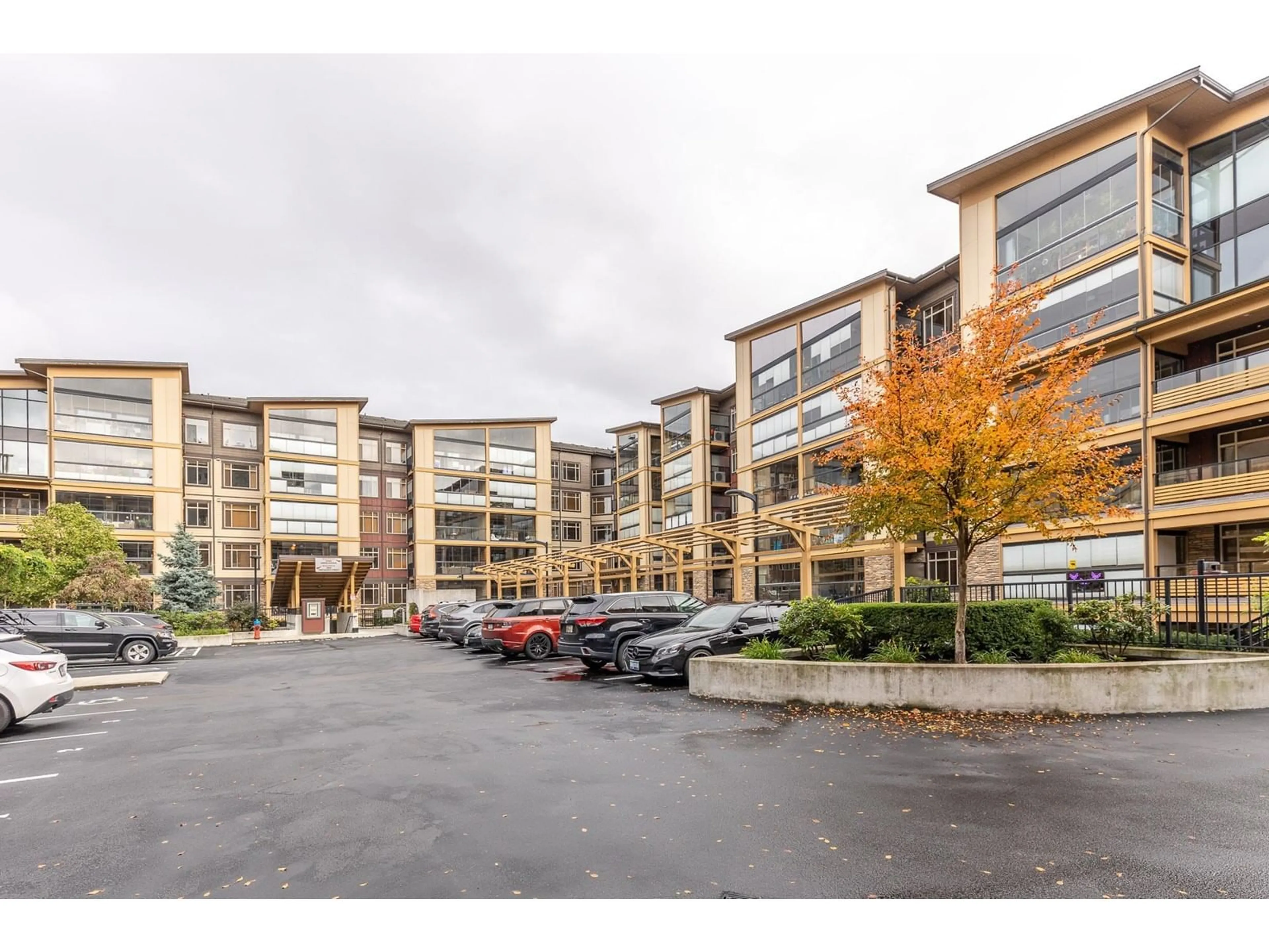 A pic from exterior of the house or condo, the front or back of building for 222 32445 SIMON AVENUE, Abbotsford British Columbia V2T0G7