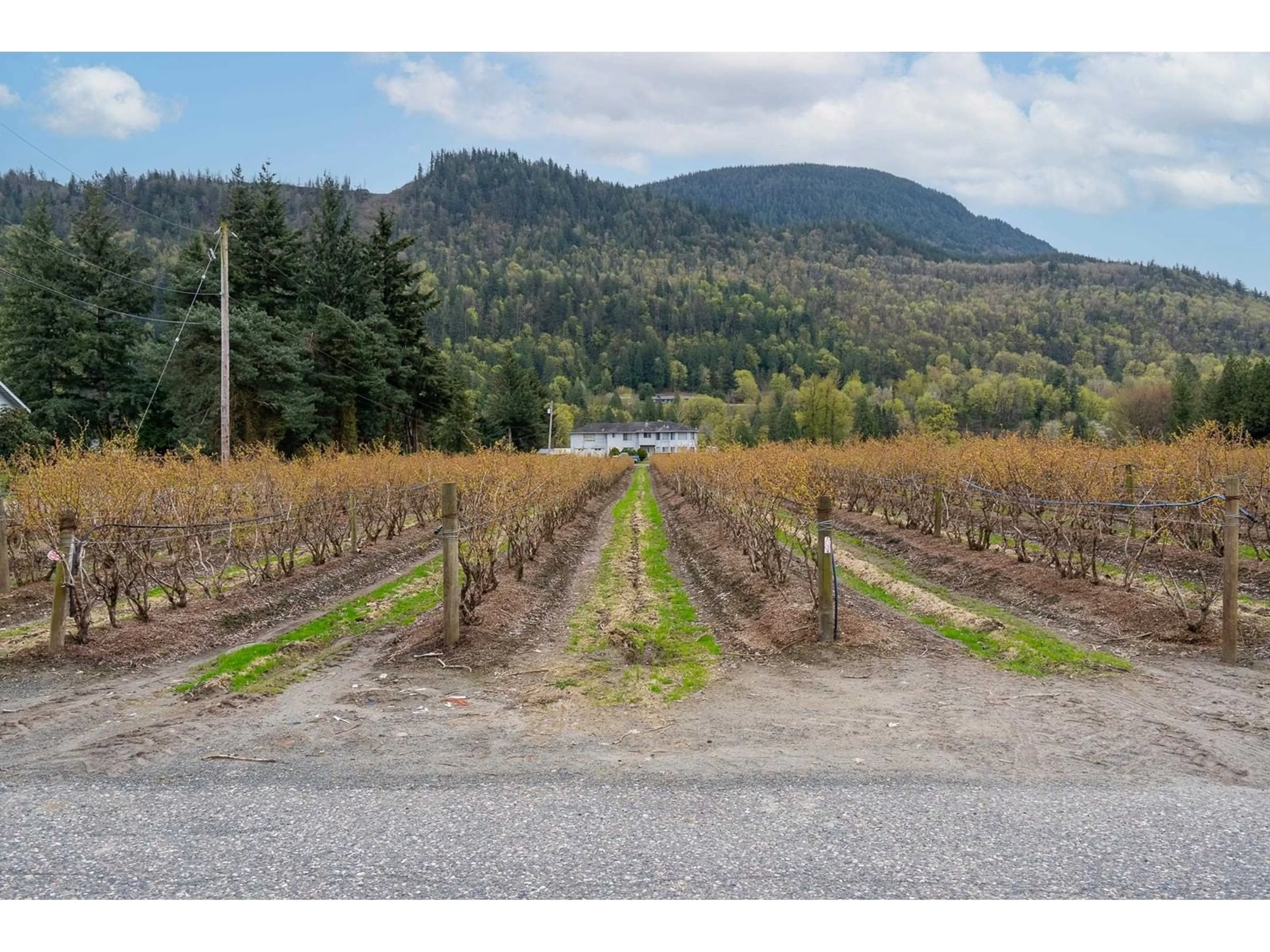 A pic from outside/outdoor area/front of a property/back of a property/a pic from drone, mountain view for 43830 DUNCAN ROAD, Chilliwack British Columbia V2R4R2