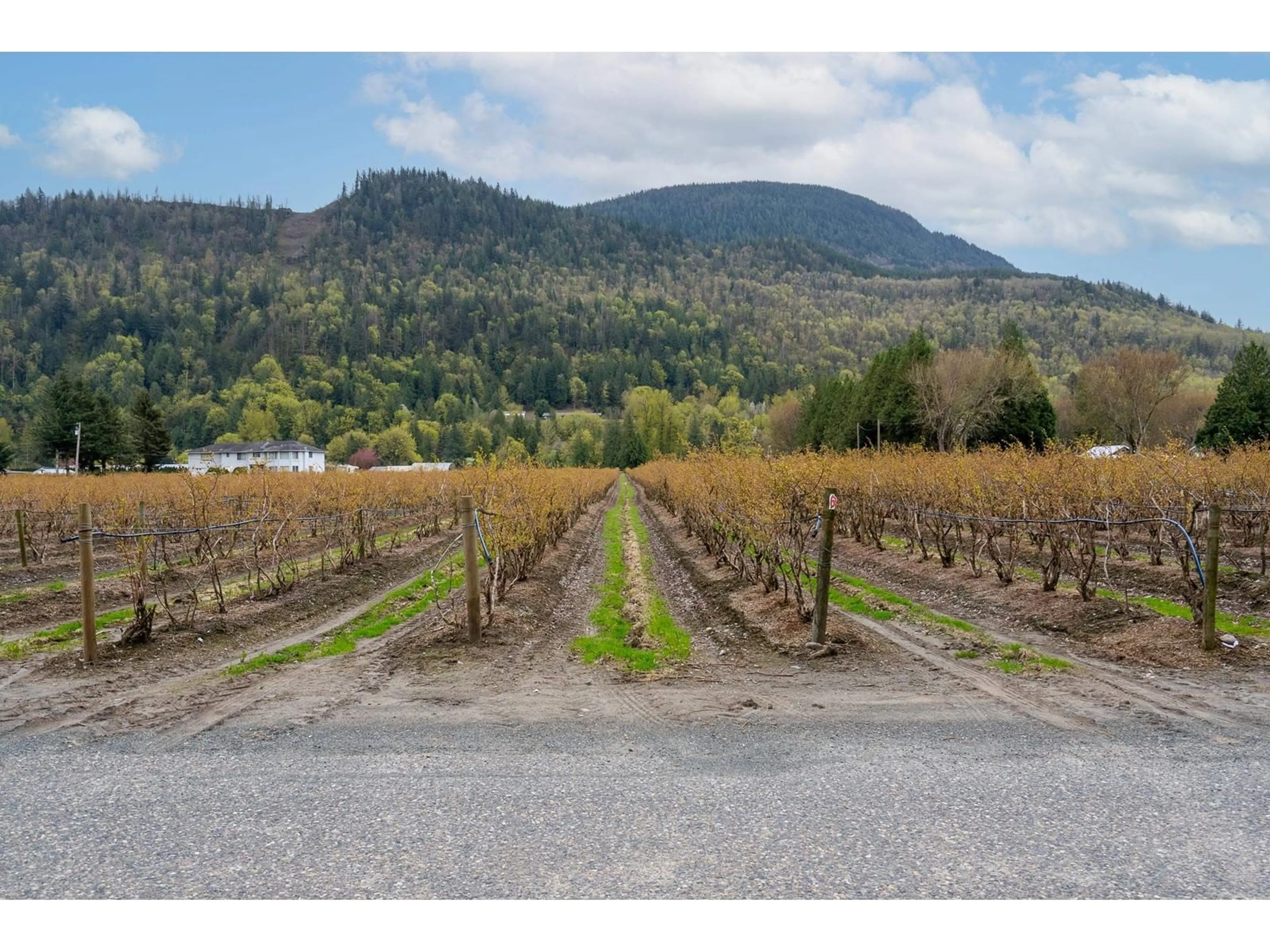 A pic from outside/outdoor area/front of a property/back of a property/a pic from drone, mountain view for 43830 DUNCAN ROAD, Chilliwack British Columbia V2R4R2