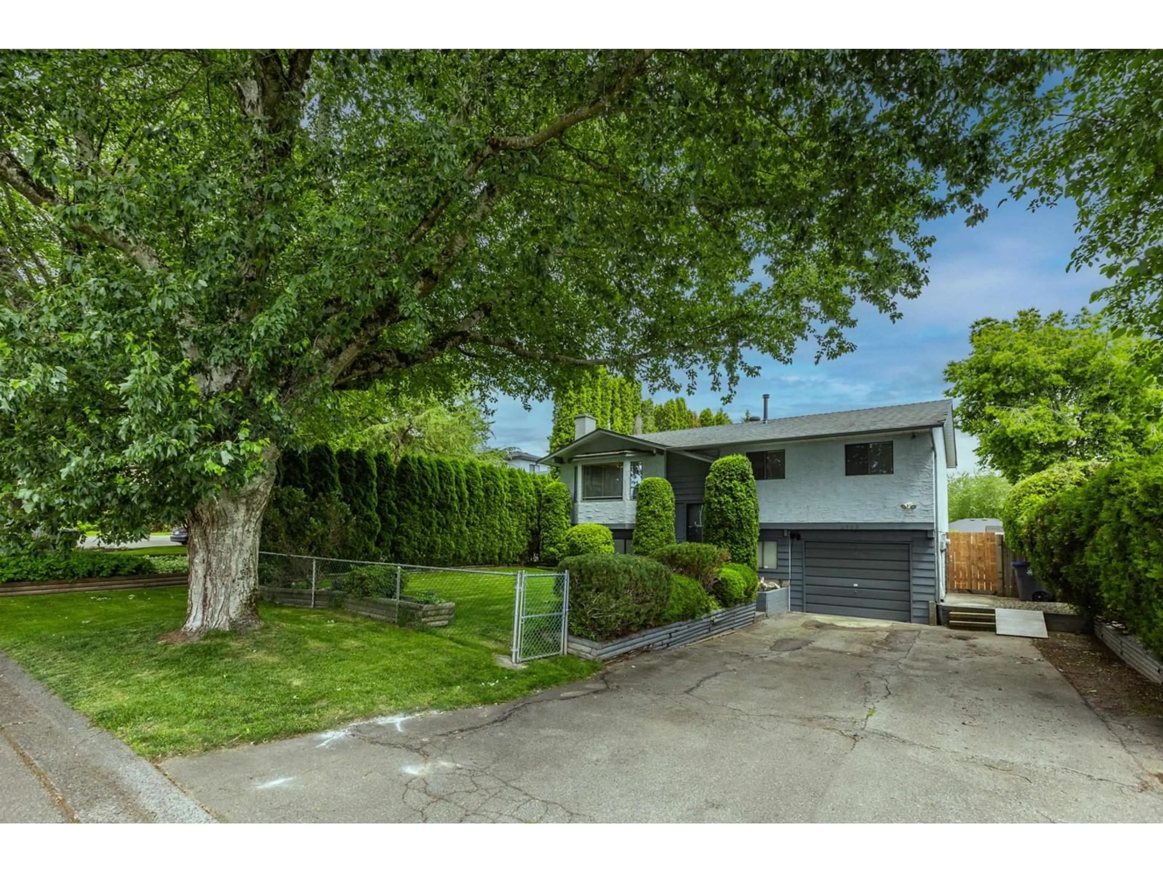 Frontside or backside of a home, the street view for 8942 139A STREET, Surrey British Columbia V3V7G5