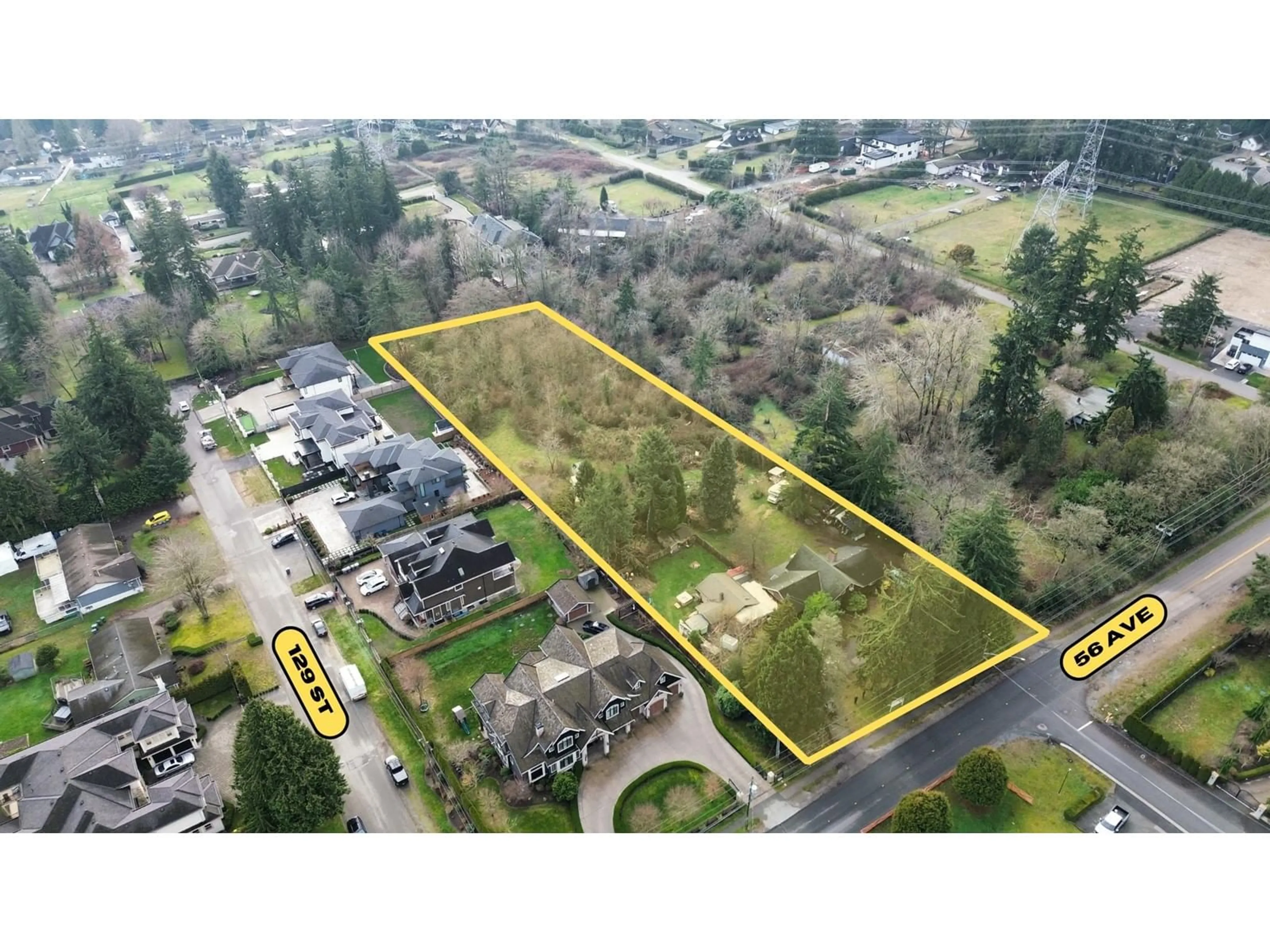 A pic from outside/outdoor area/front of a property/back of a property/a pic from drone, street for 12866 56, Surrey British Columbia V3X2Y9