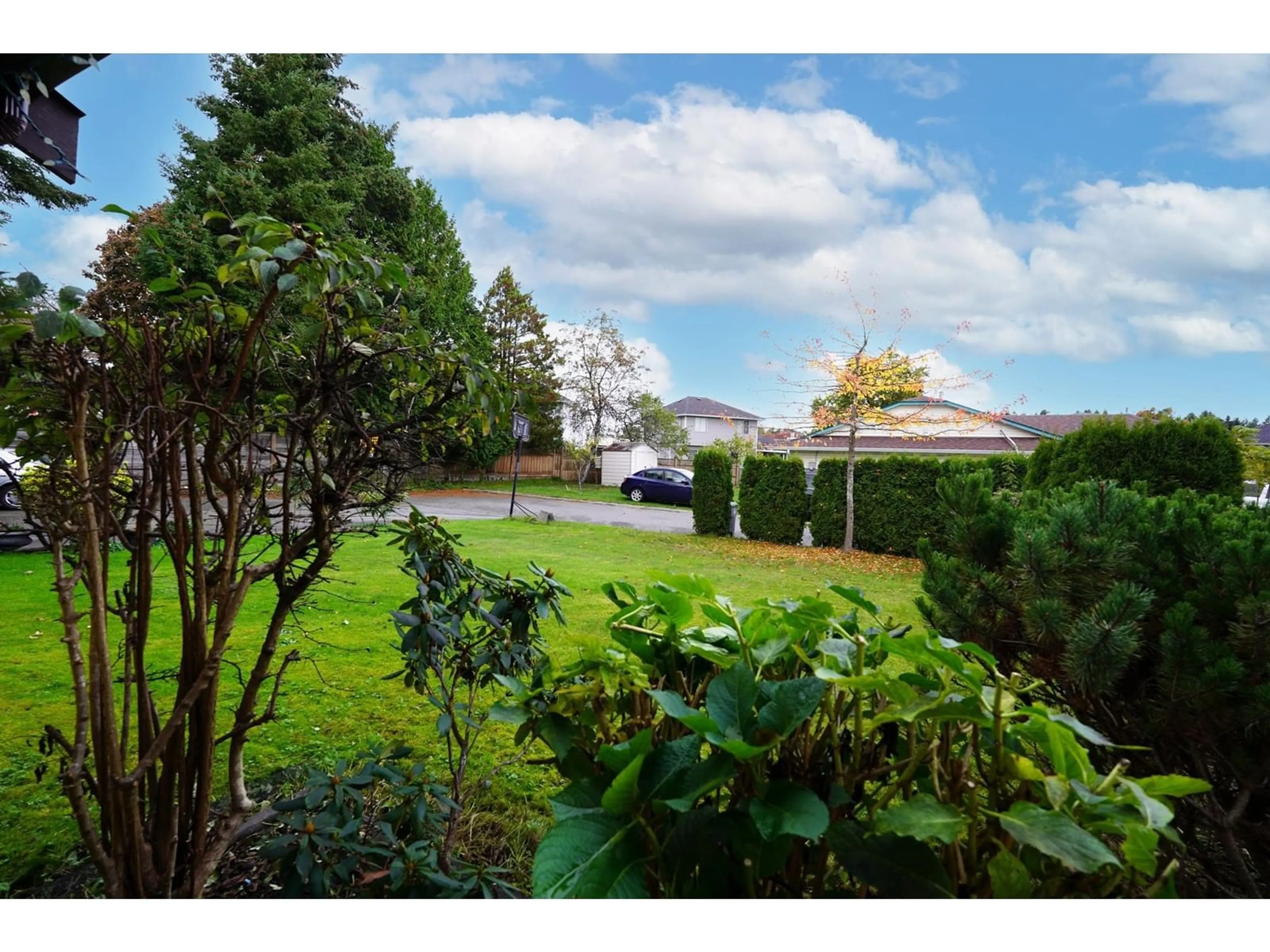 Patio, the fenced backyard for 12076 84A AVENUE, Surrey British Columbia V3W8L7