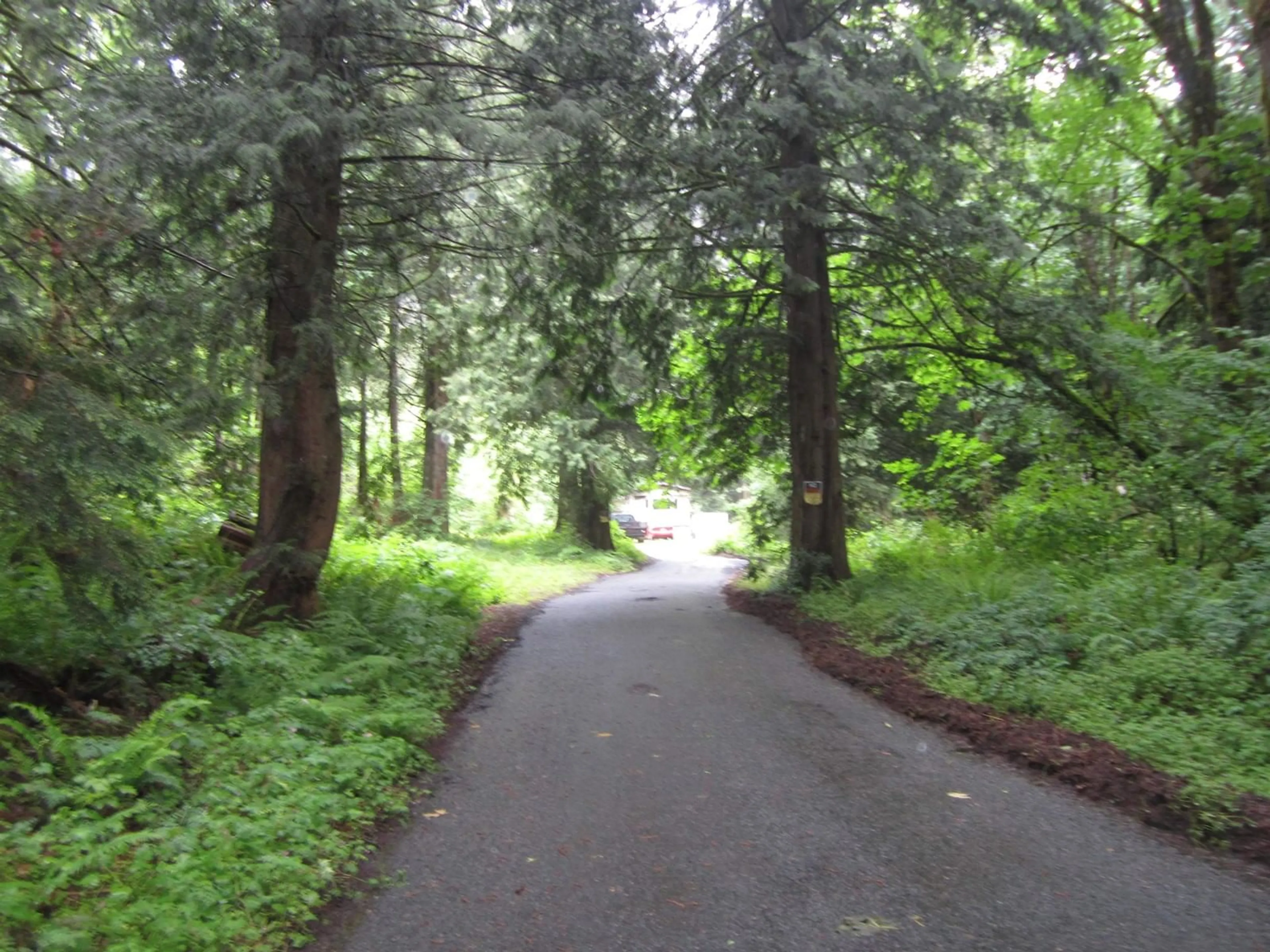 Blurry image for 11121 BARNES, Mission British Columbia V0M1G0