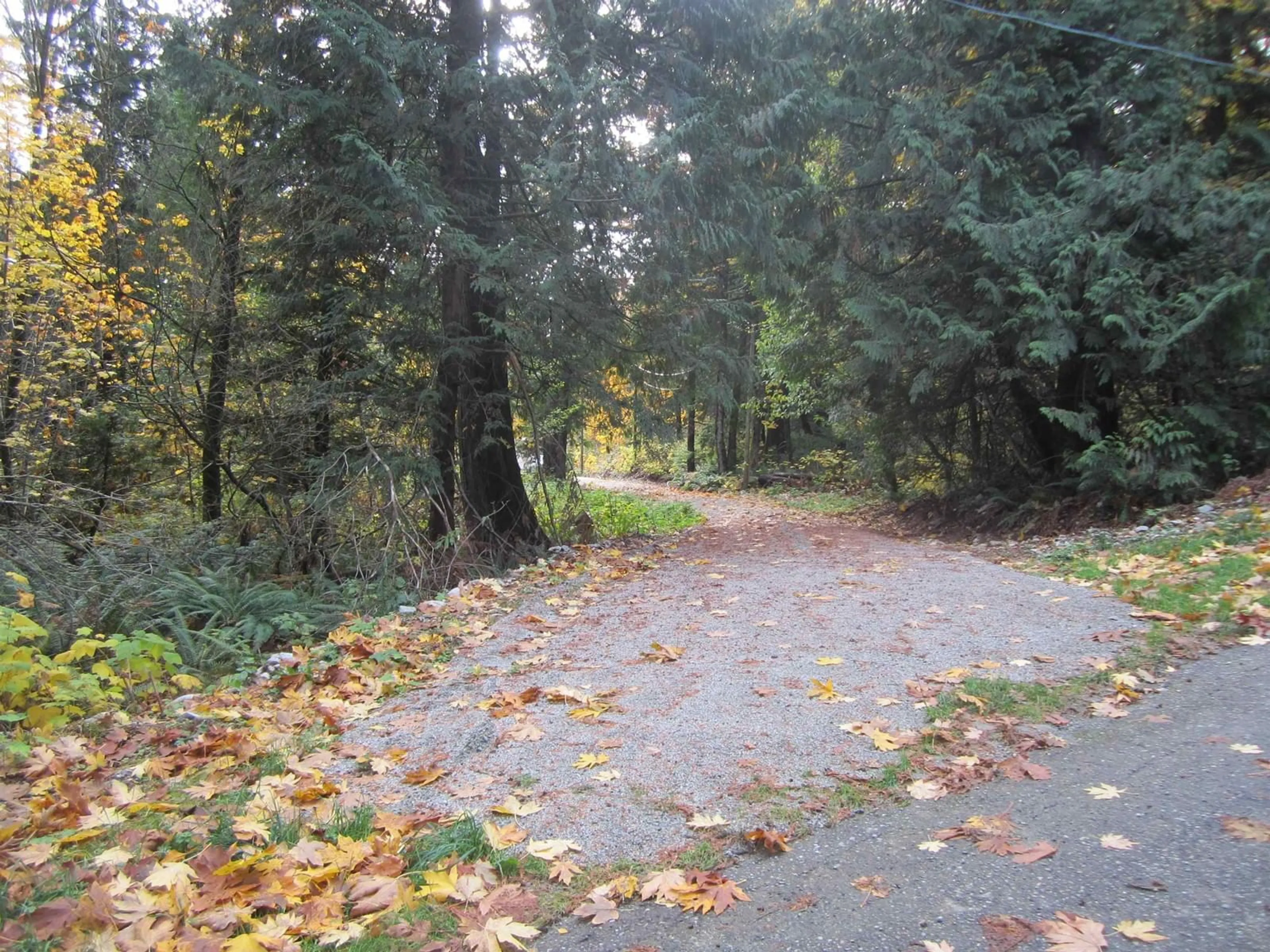 Patio, the street view for 11121 BARNES ROAD, Mission British Columbia V0M1G0