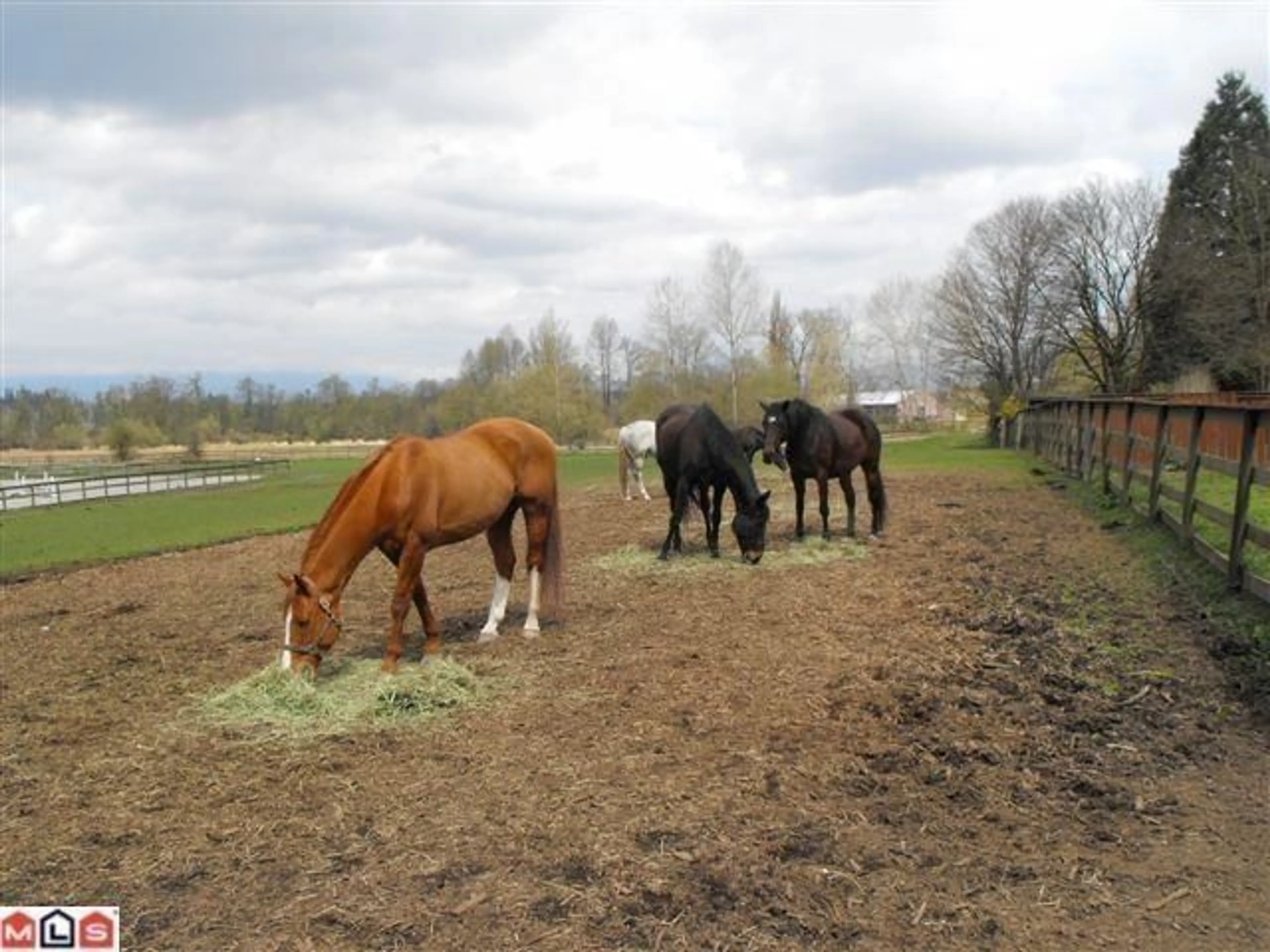 Shed for 8877 WRIGHT STREET, Langley British Columbia V1M3T1