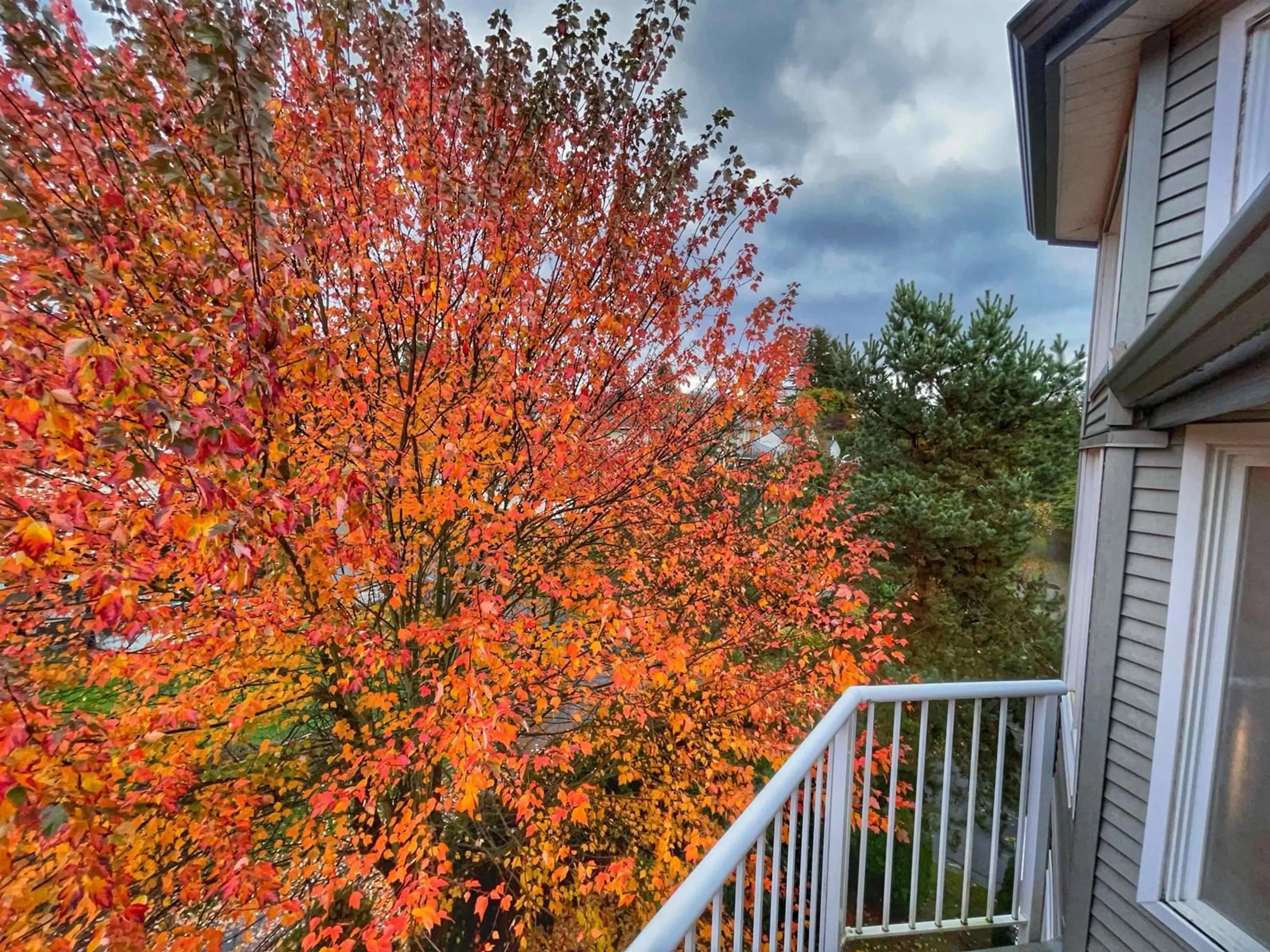 A pic from exterior of the house or condo, the fenced backyard for 301 33669 2 AVENUE, Mission British Columbia V2V6Z4