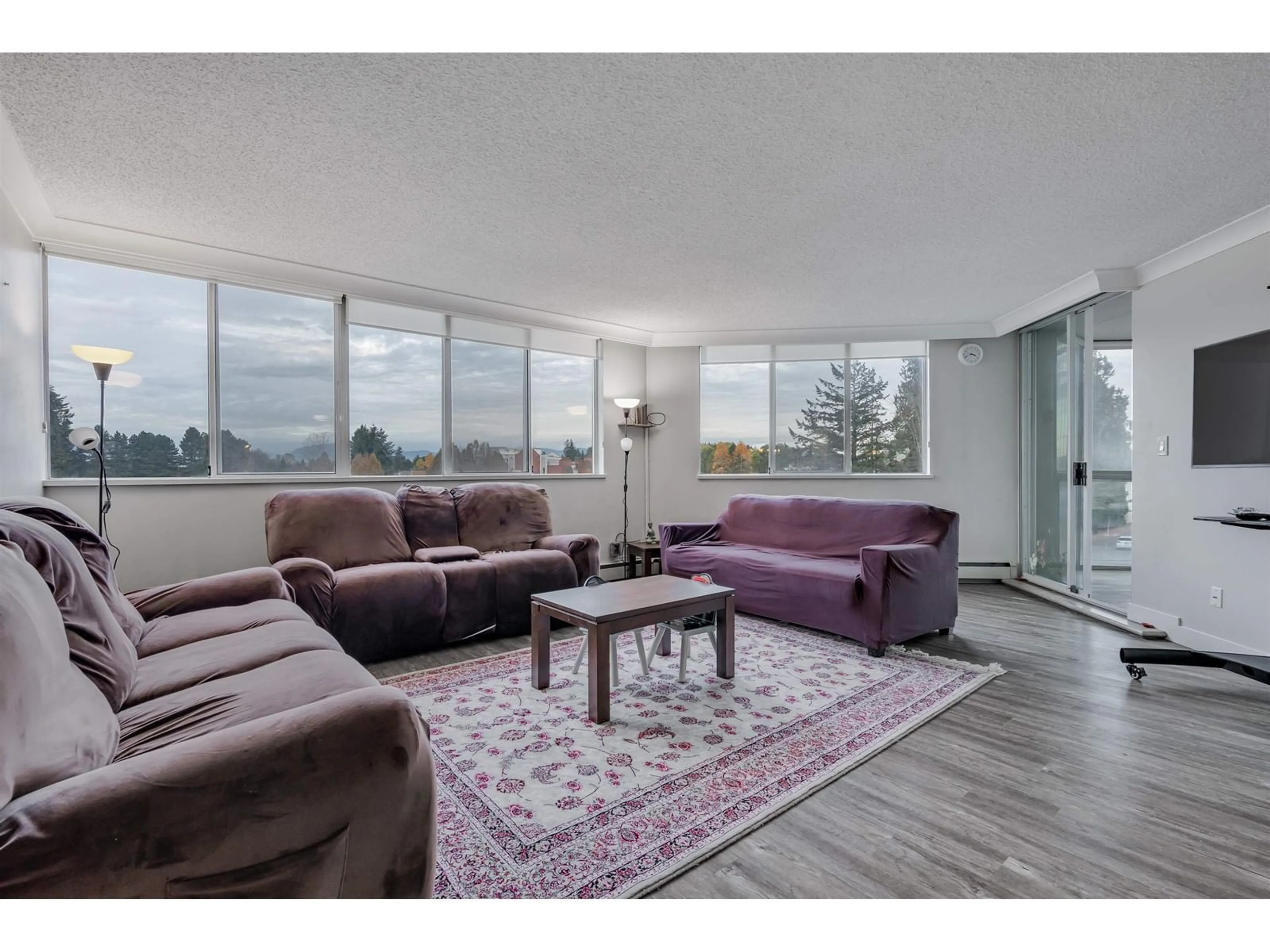 Living room, carpet floors for 307 11881 88 AVENUE, Delta British Columbia V4C8A2