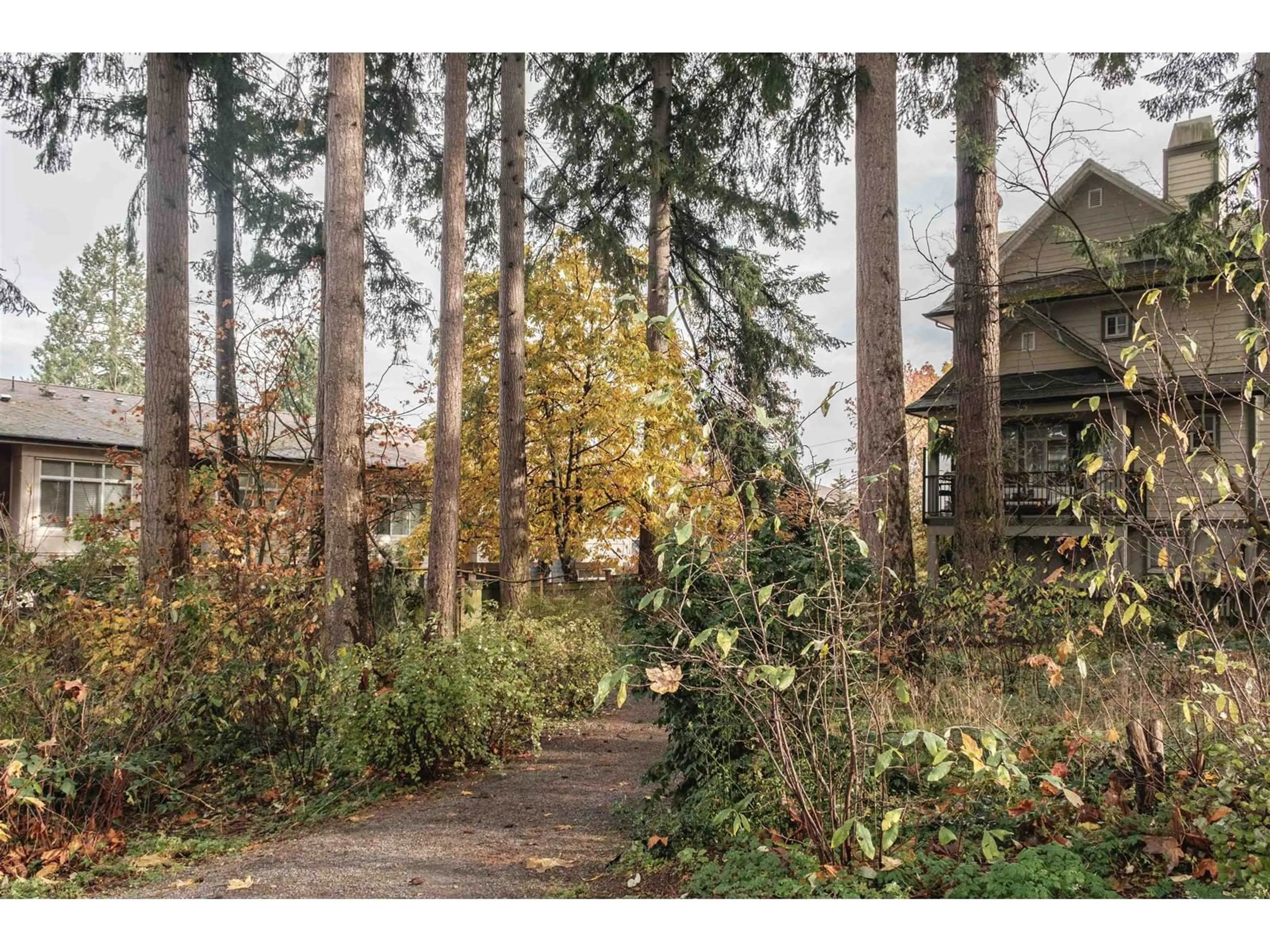 Frontside or backside of a home, the fenced backyard for 10 2845 156 STREET, Surrey British Columbia V3Z3Y3