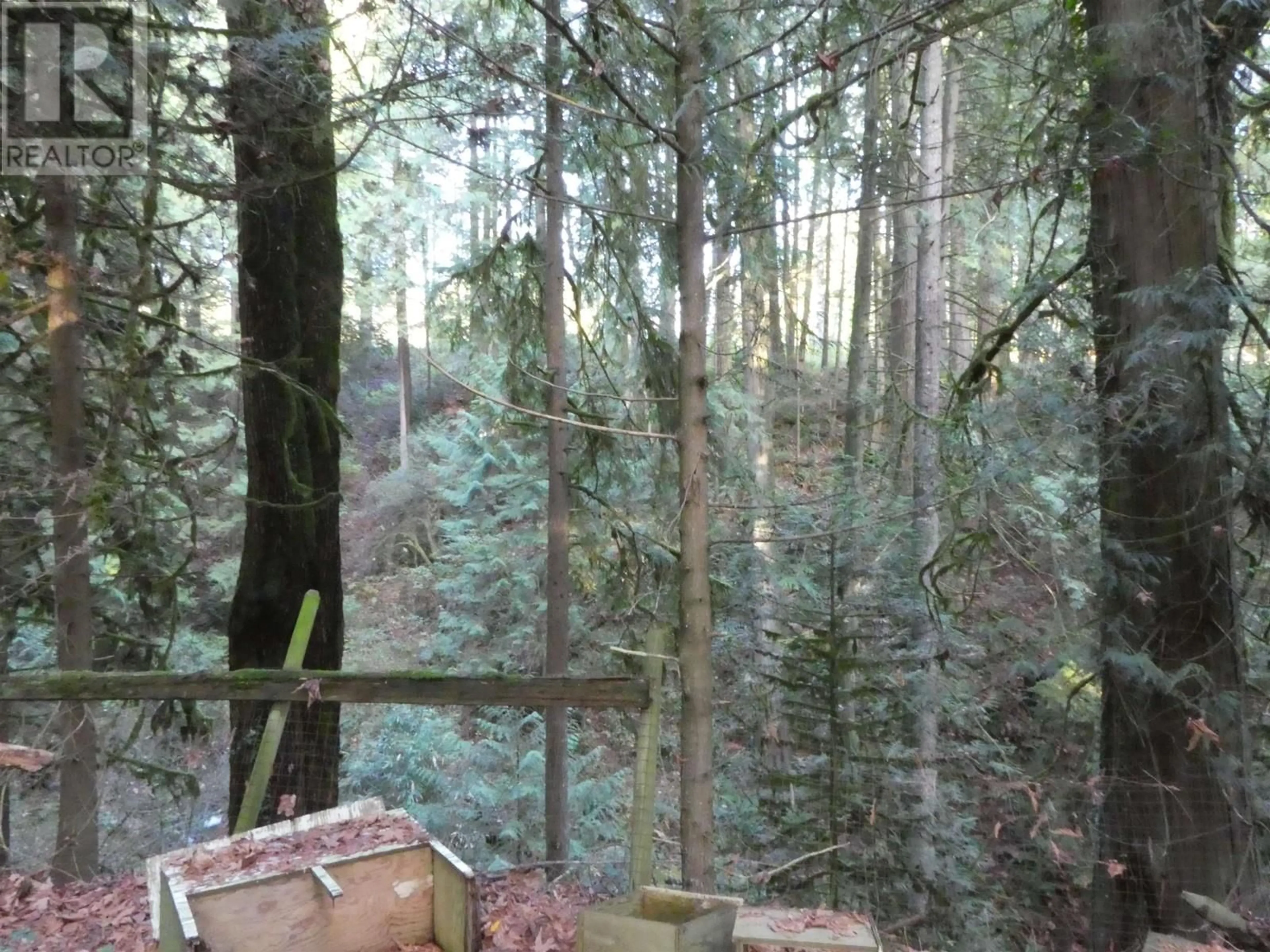 A pic from outside/outdoor area/front of a property/back of a property/a pic from drone, forest/trees view for 14042 232 STREET, Maple Ridge British Columbia V4R2G5
