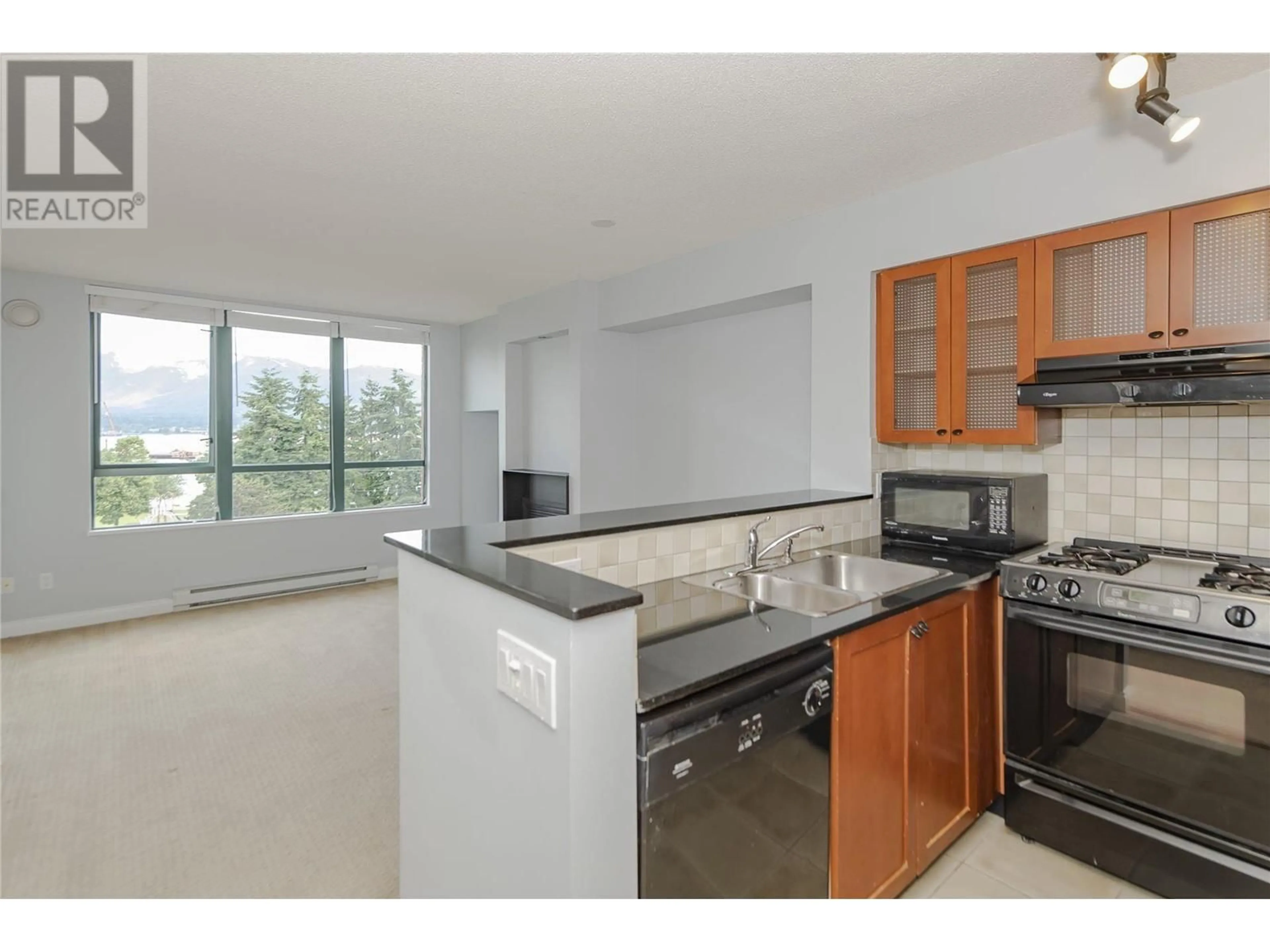 Standard kitchen for 604 55 ALEXANDER STREET, Vancouver British Columbia V6A1B2