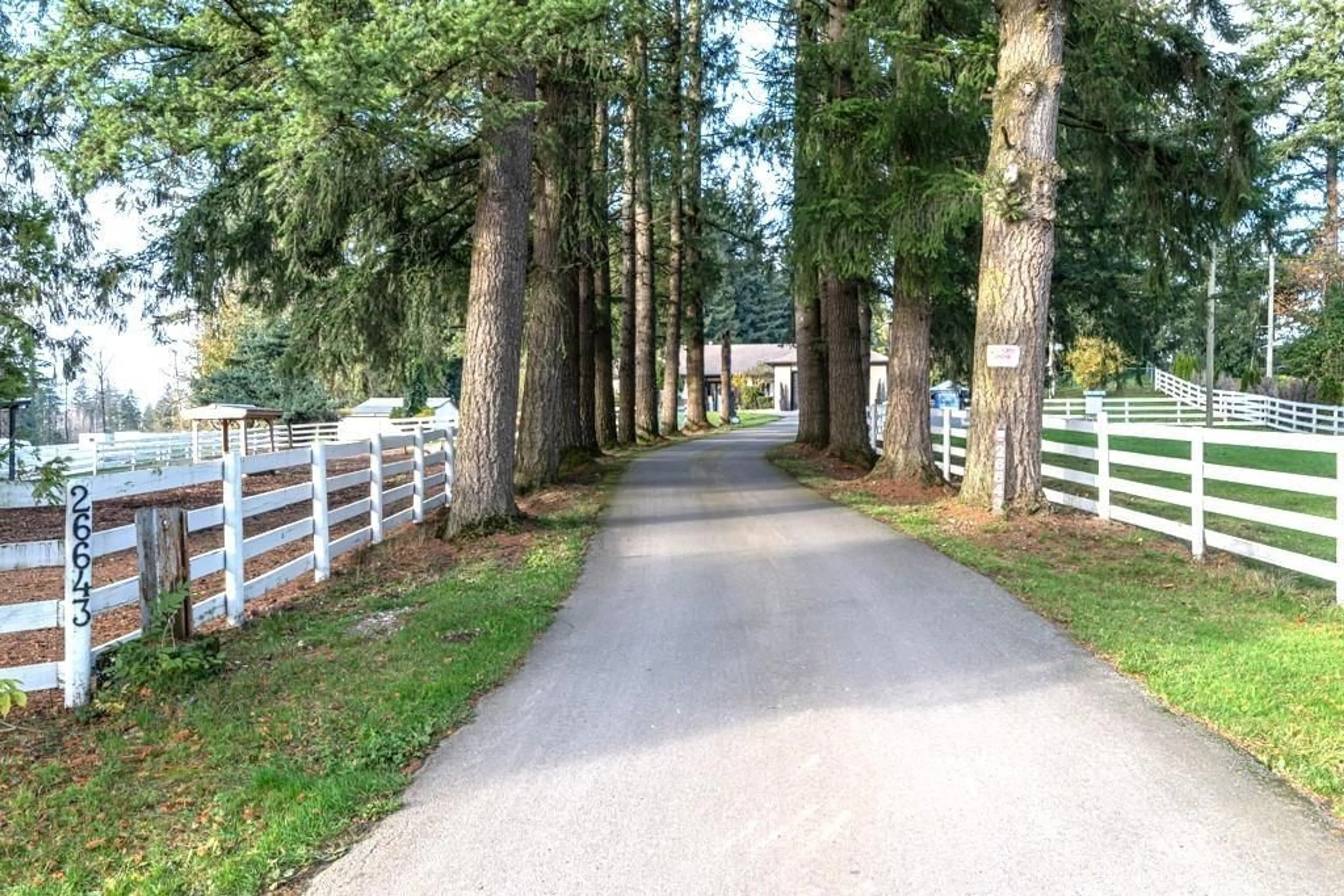 Patio, the fenced backyard for 26643 58 AVENUE, Langley British Columbia V4W1V6