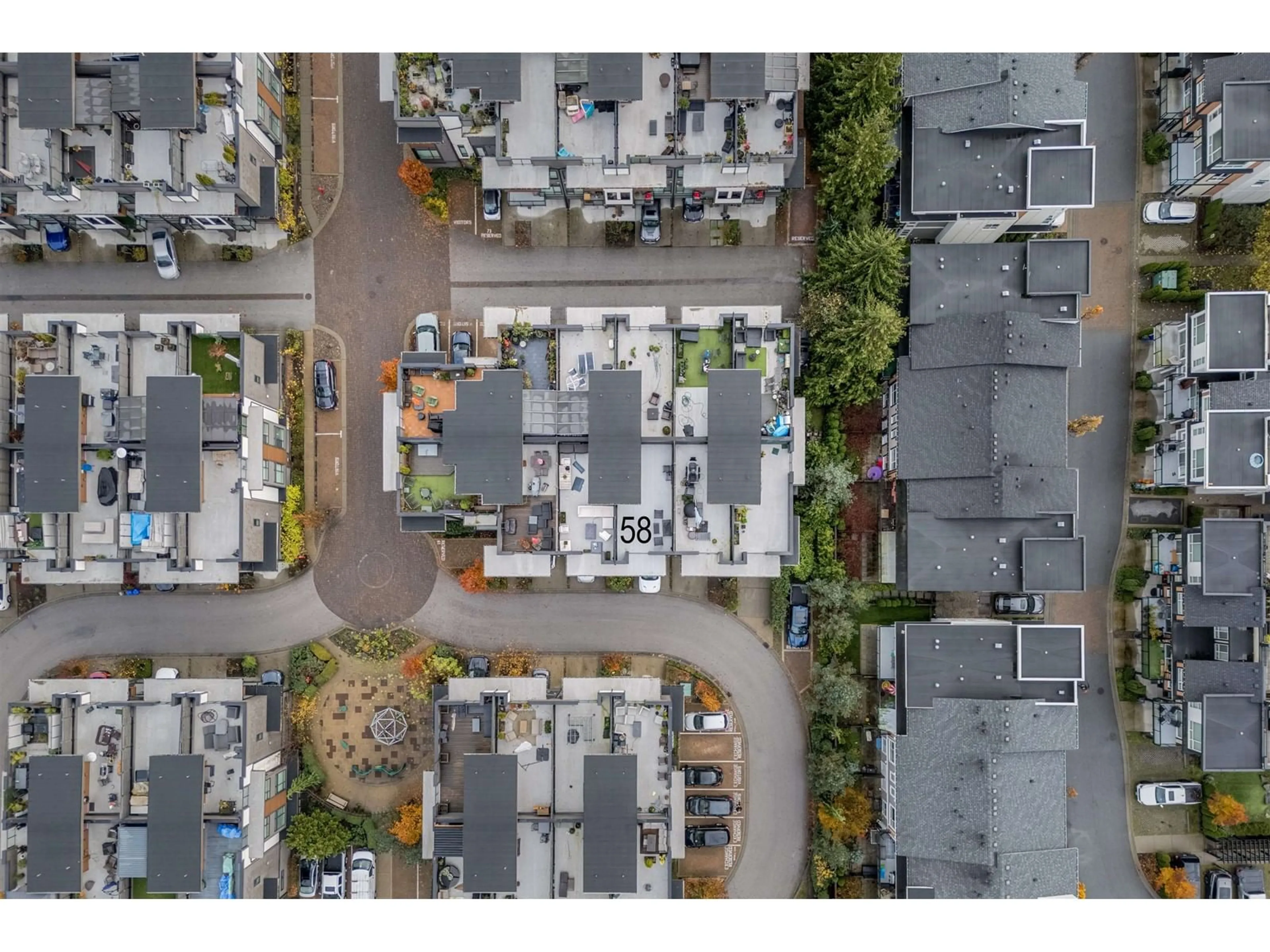 A pic from exterior of the house or condo, the street view for 58 7811 209 STREET, Langley British Columbia V2Y0P2