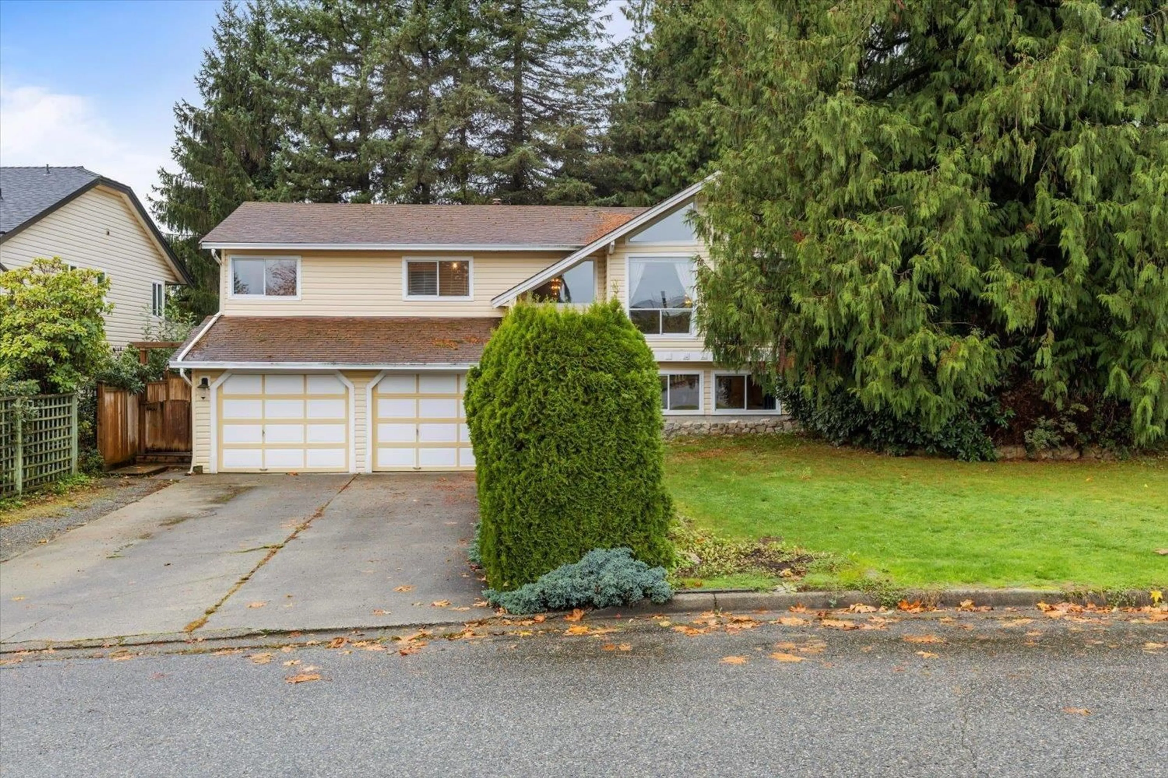 Frontside or backside of a home, the street view for 8013 DUNSMUIR STREET, Mission British Columbia V2V4S2