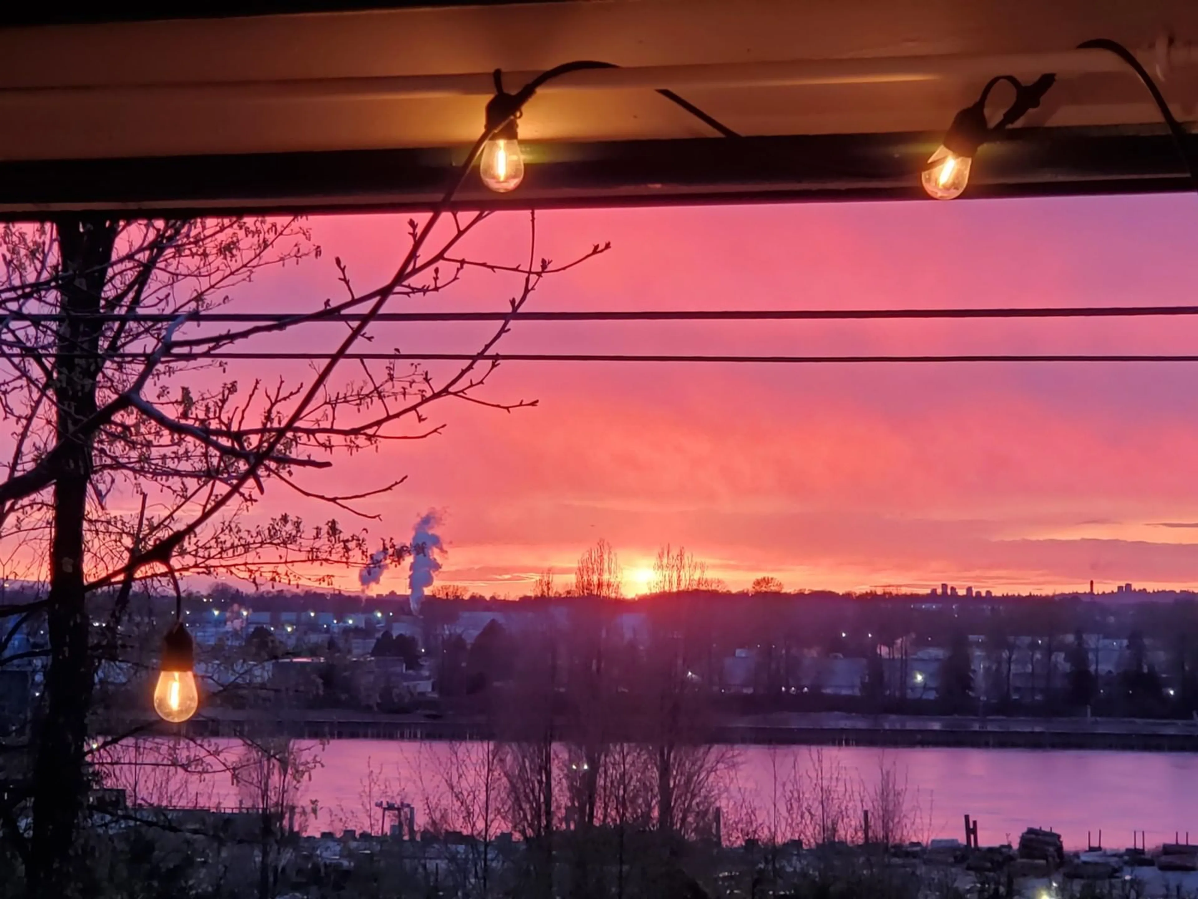 A pic from exterior of the house or condo, the view of lake or river for 11102 RIVER ROAD, Delta British Columbia V4C2S4