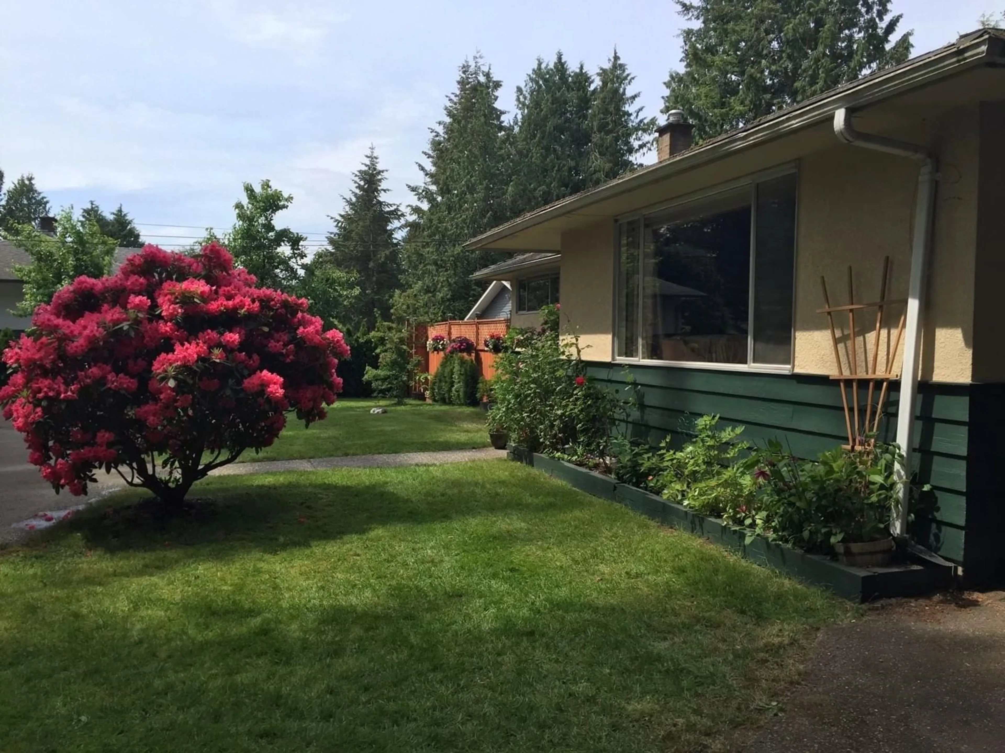 Frontside or backside of a home, the fenced backyard for 19875 36 AVENUE, Langley British Columbia V3A2R3