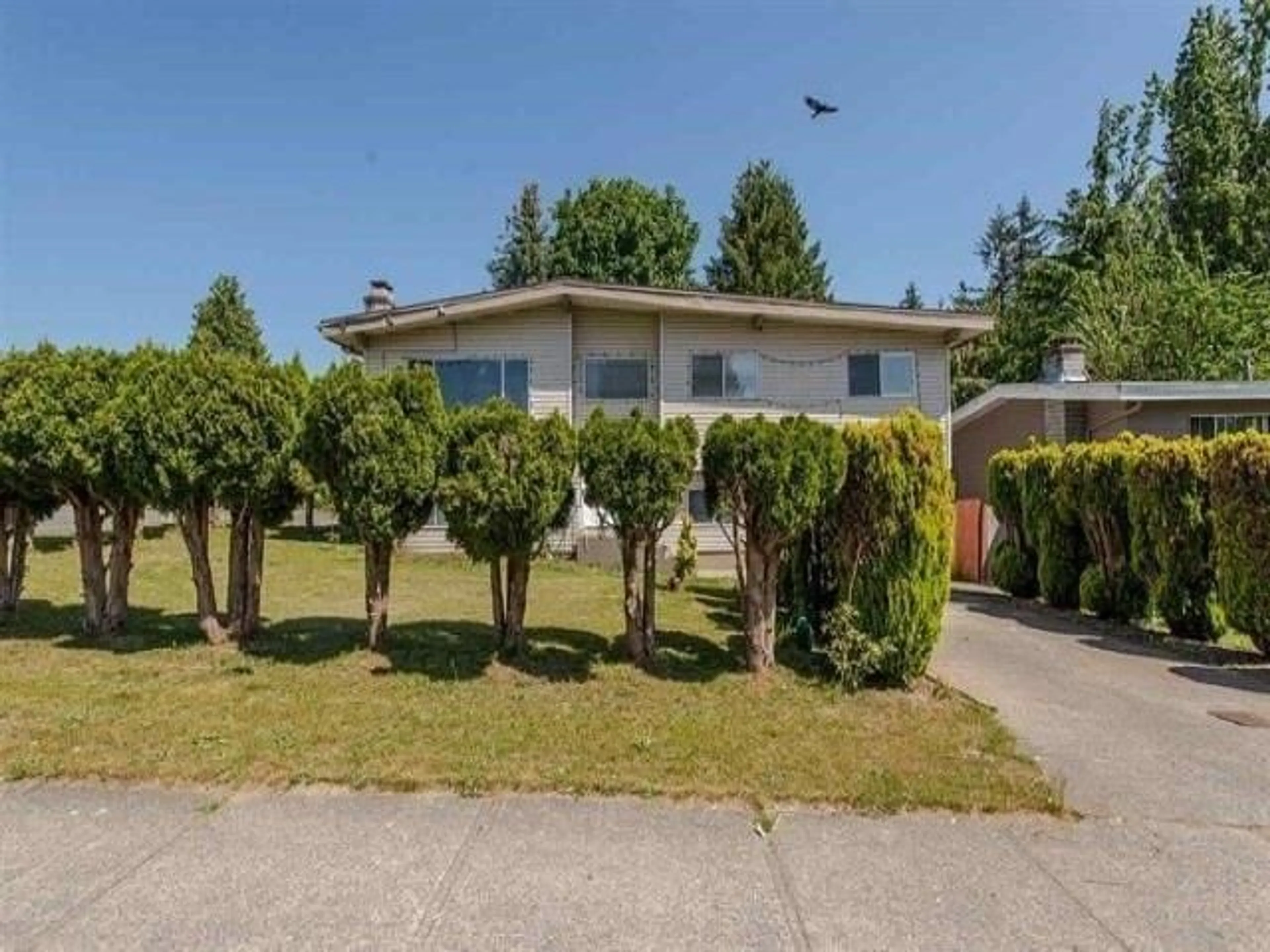 Frontside or backside of a home, the street view for 3316 SAANICH STREET, Abbotsford British Columbia V2T4Y9