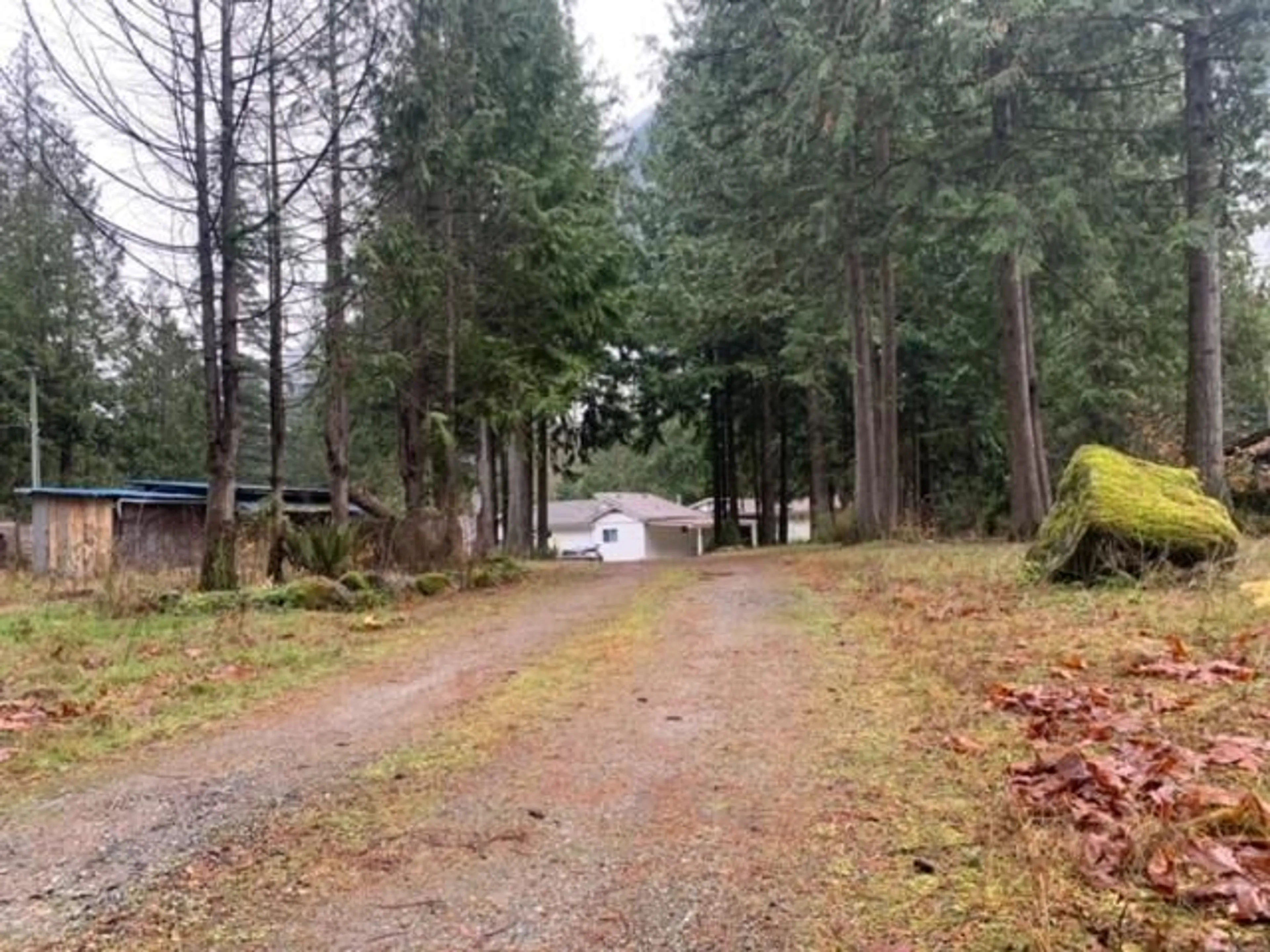 A pic from outside/outdoor area/front of a property/back of a property/a pic from drone, forest/trees view for 19552 SILVER SKAGIT ROAD, Hope British Columbia V0X1L2