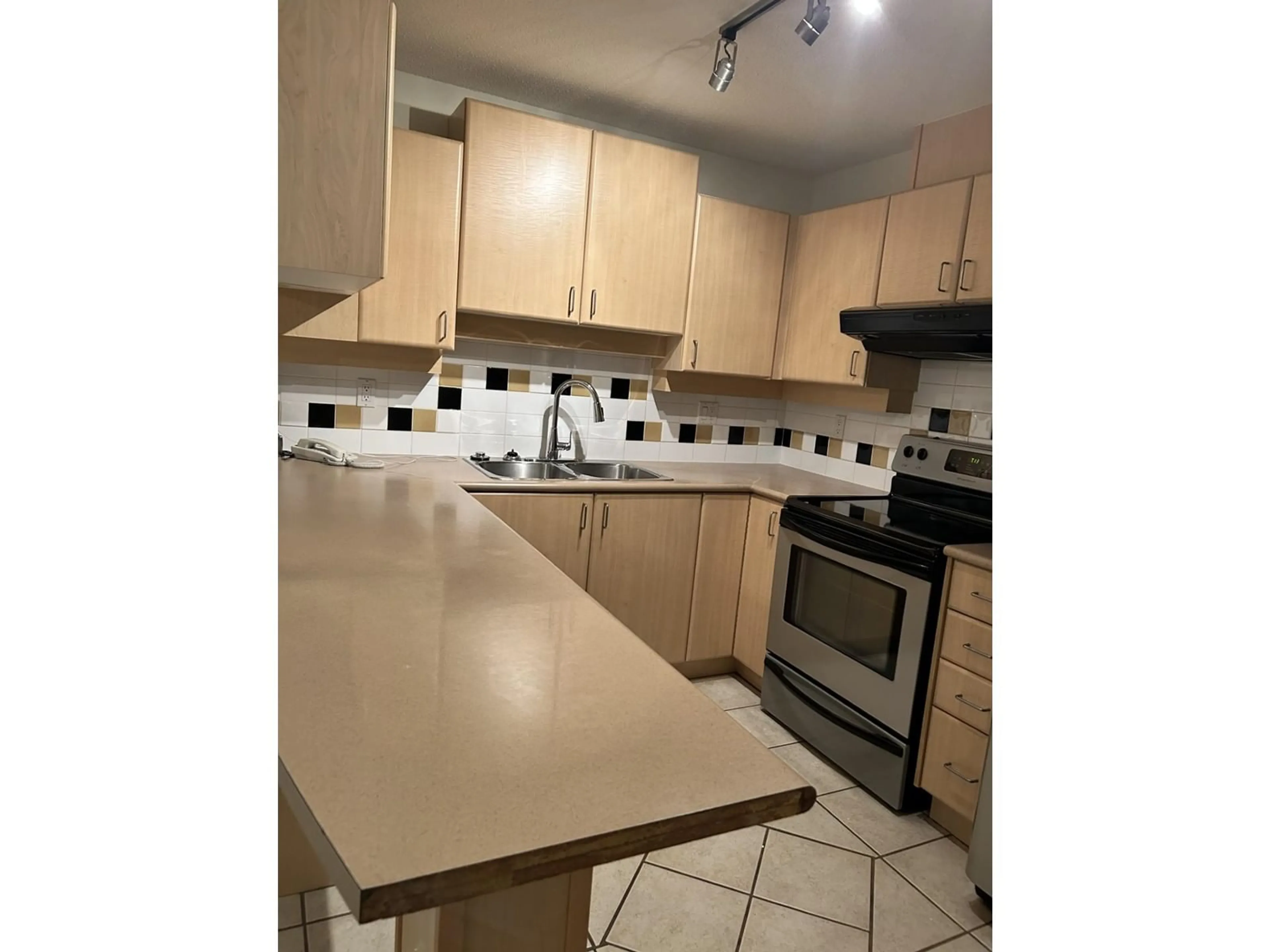 Standard kitchen for 203 6336 197 STREET, Langley British Columbia V2Y2T7