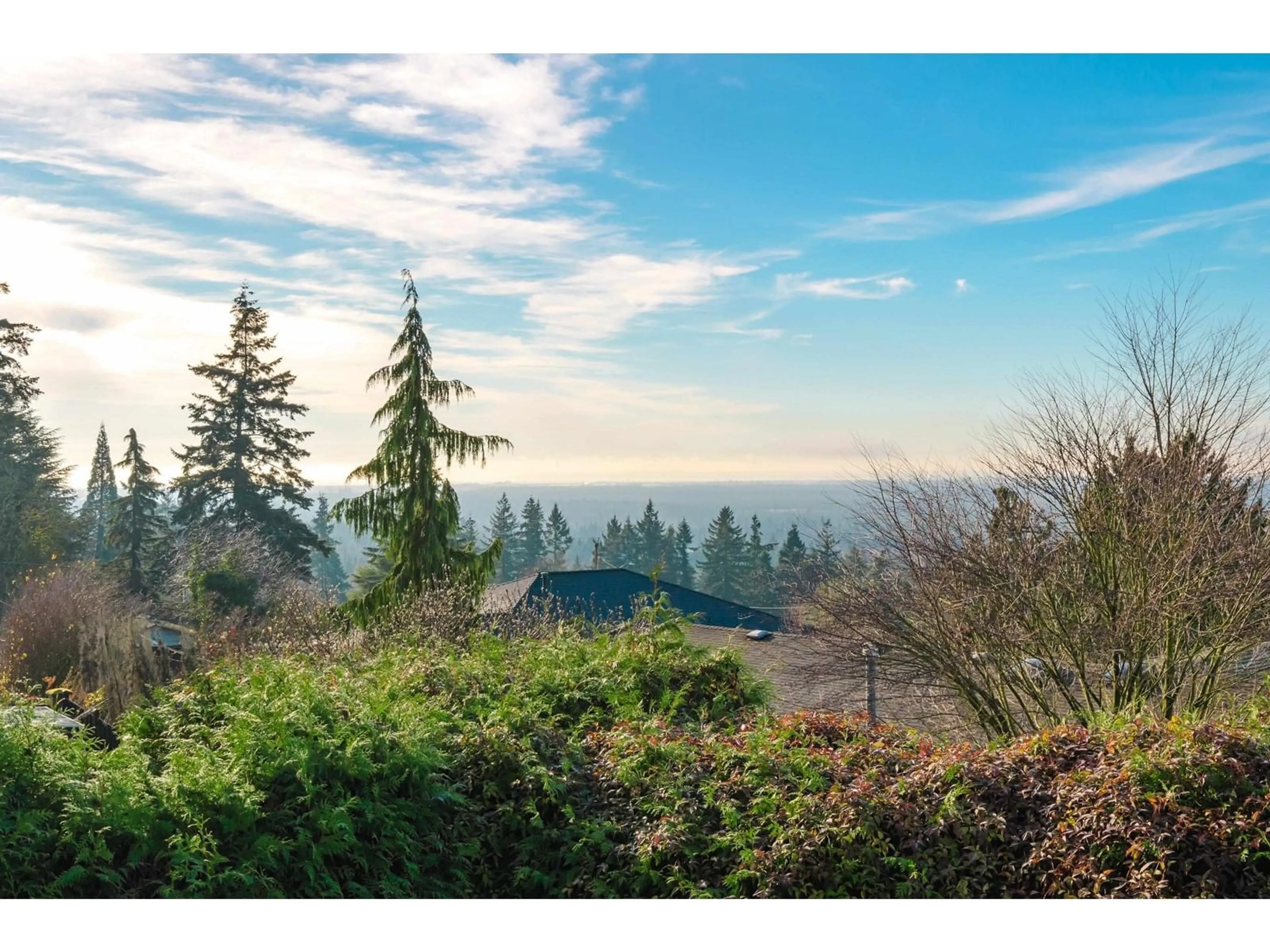 A pic from exterior of the house or condo, the view of mountain for 7999 WILTSHIRE BOULEVARD, Delta British Columbia V4C4B5