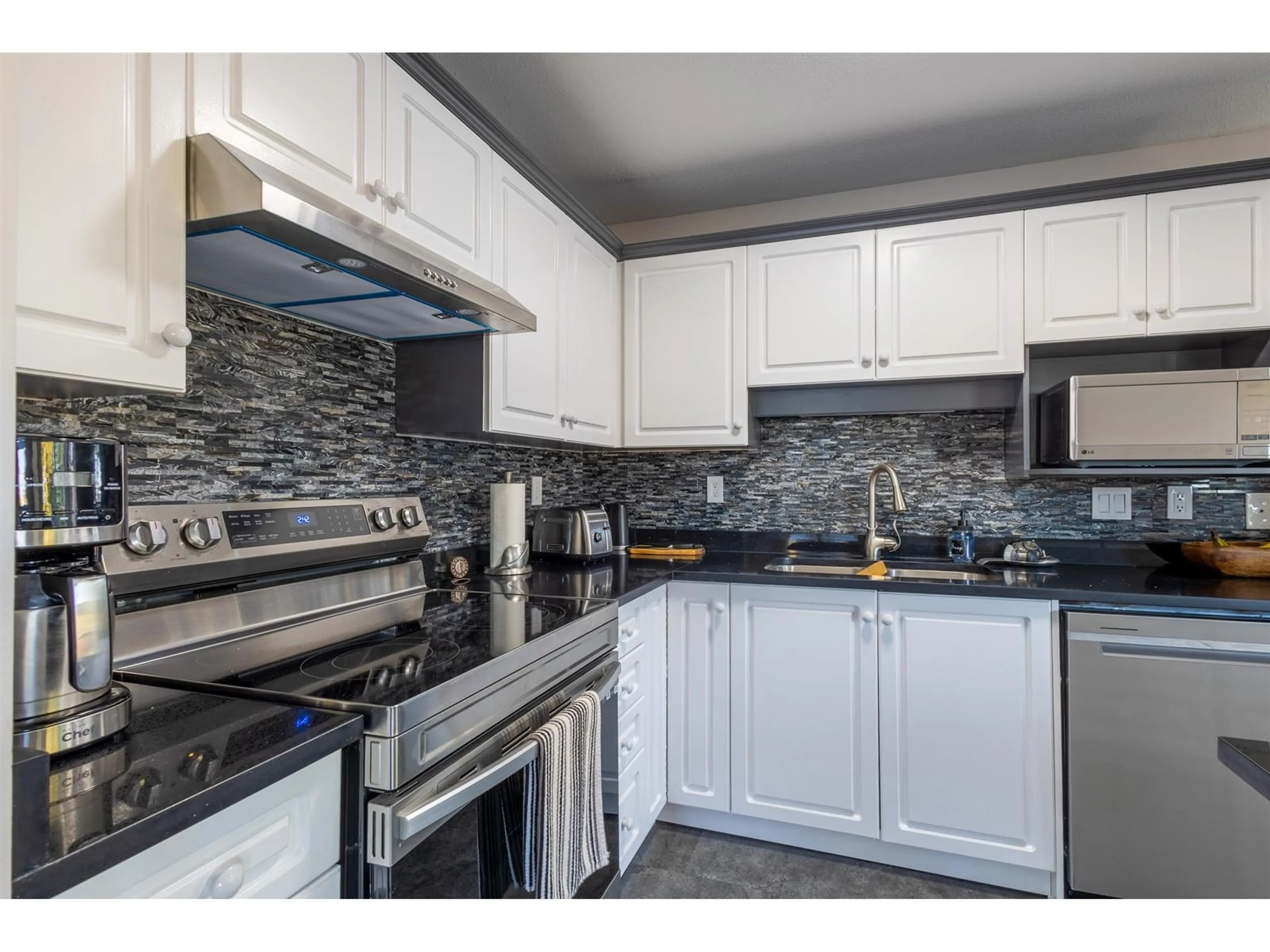 Standard kitchen for 206 32120 MT WADDINGTON AVENUE, Abbotsford British Columbia V2T2E8