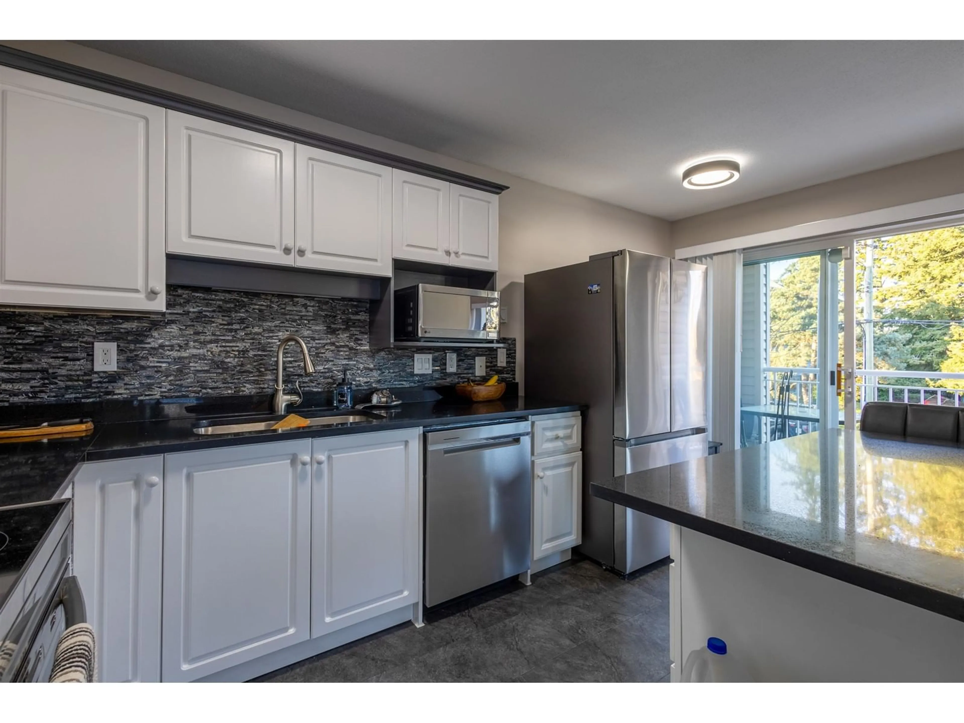 Standard kitchen for 206 32120 MT WADDINGTON AVENUE, Abbotsford British Columbia V2T2E8