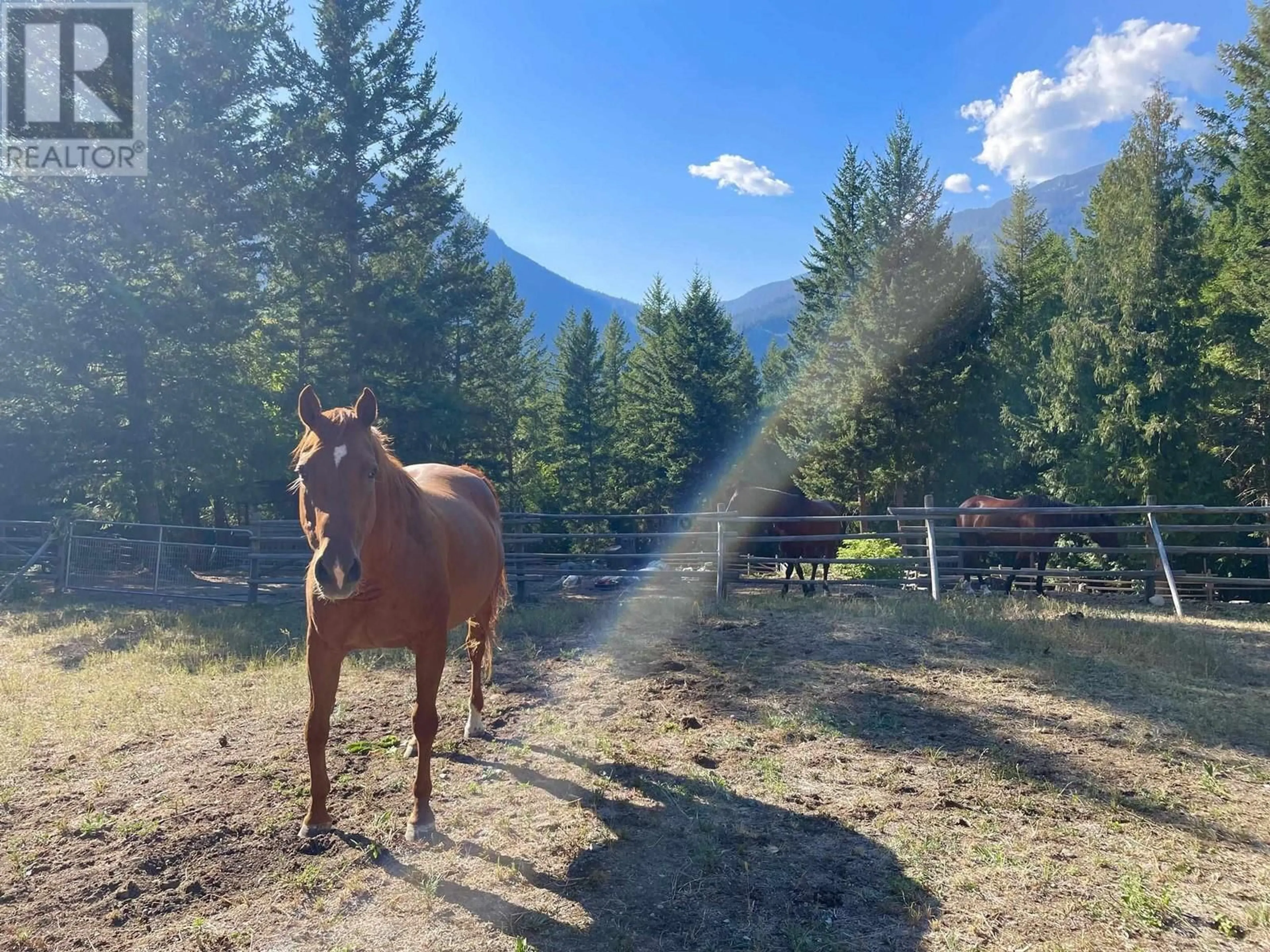 Blurry image for 1911 SWEETWATER LANE, Mount Currie British Columbia V0N2K0