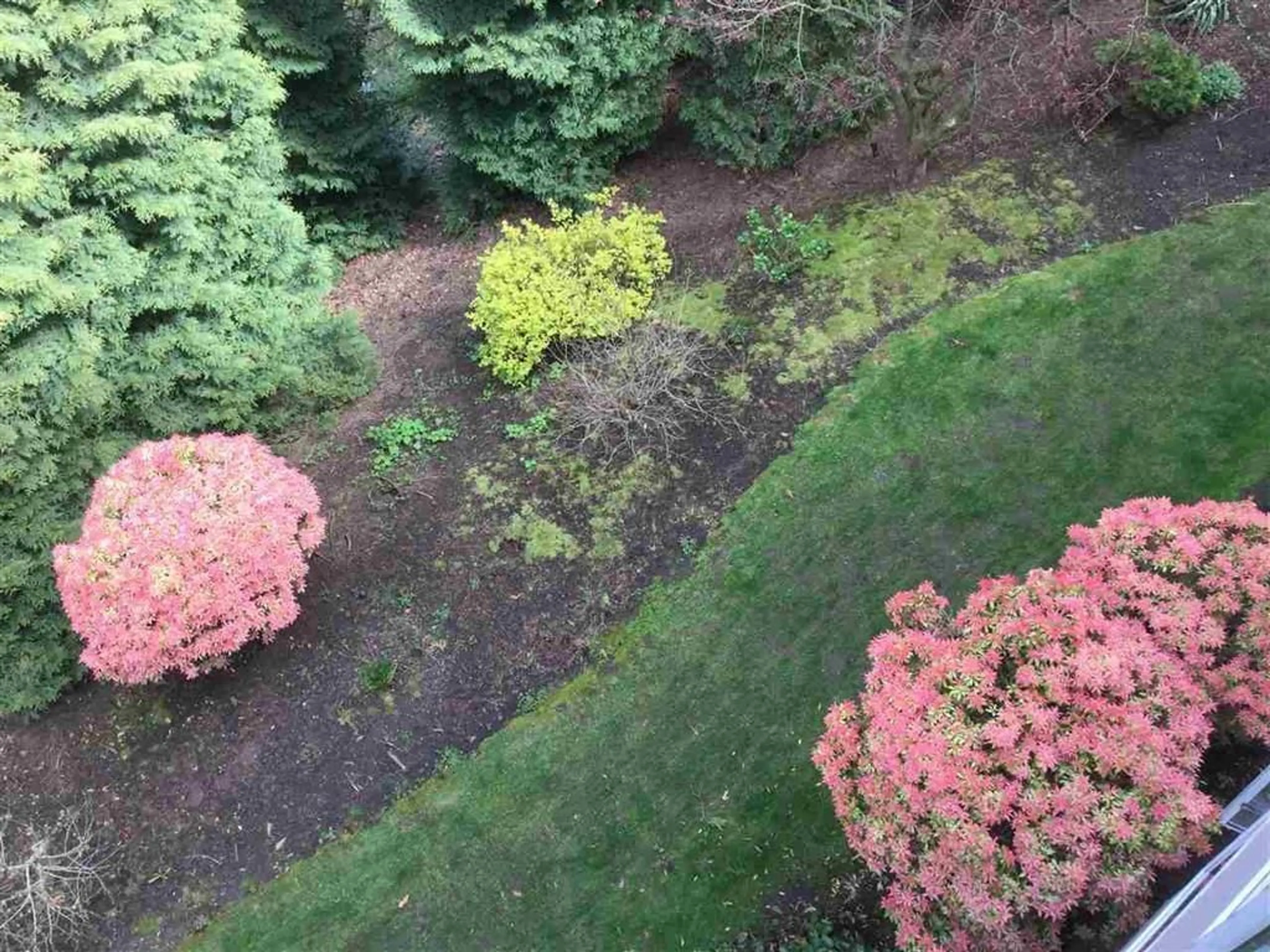 A pic from outside/outdoor area/front of a property/back of a property/a pic from drone, forest/trees view for 322 2700 MCCALLUM ROAD, Abbotsford British Columbia V2S6X9