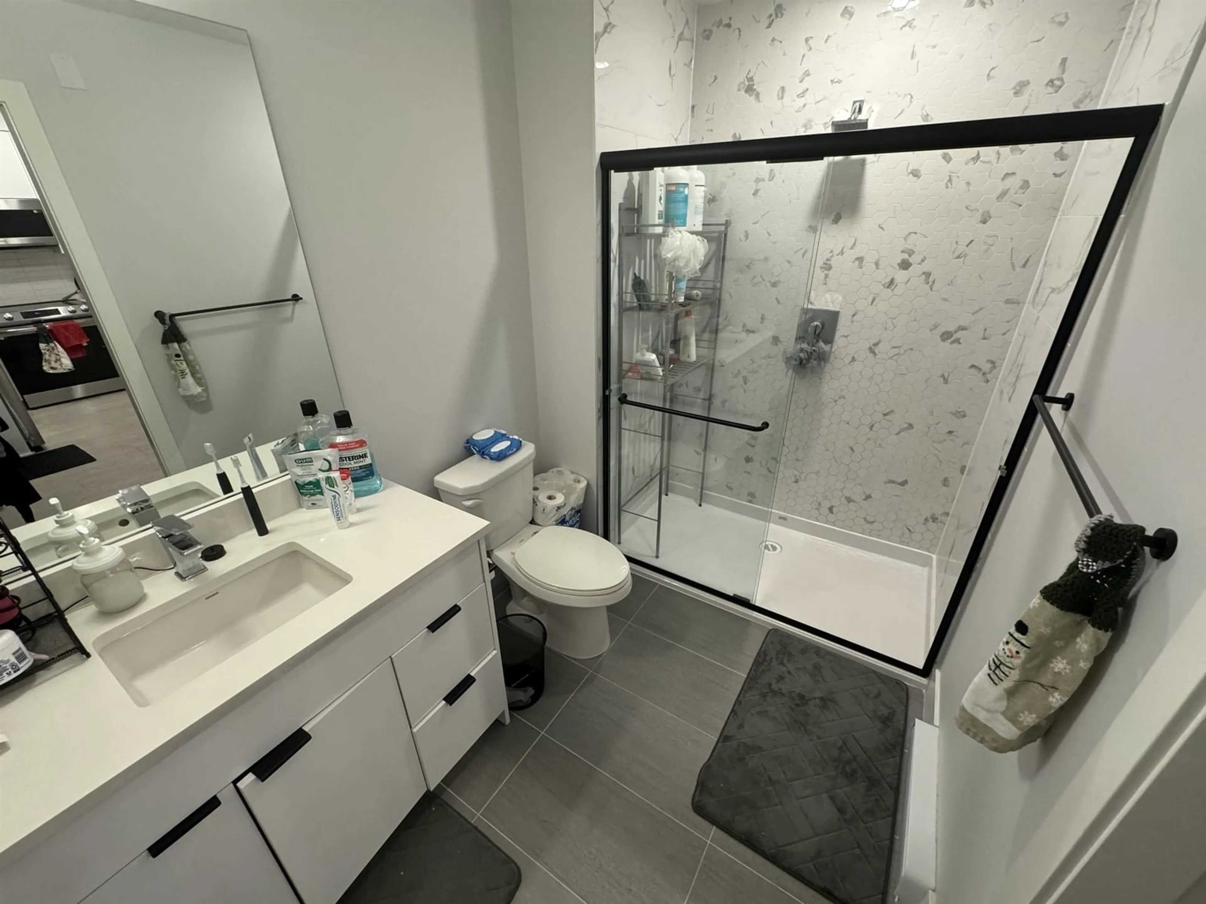 Standard bathroom, ceramic/tile floor for 401 20360 LOGAN AVENUE, Langley British Columbia V3A0P5