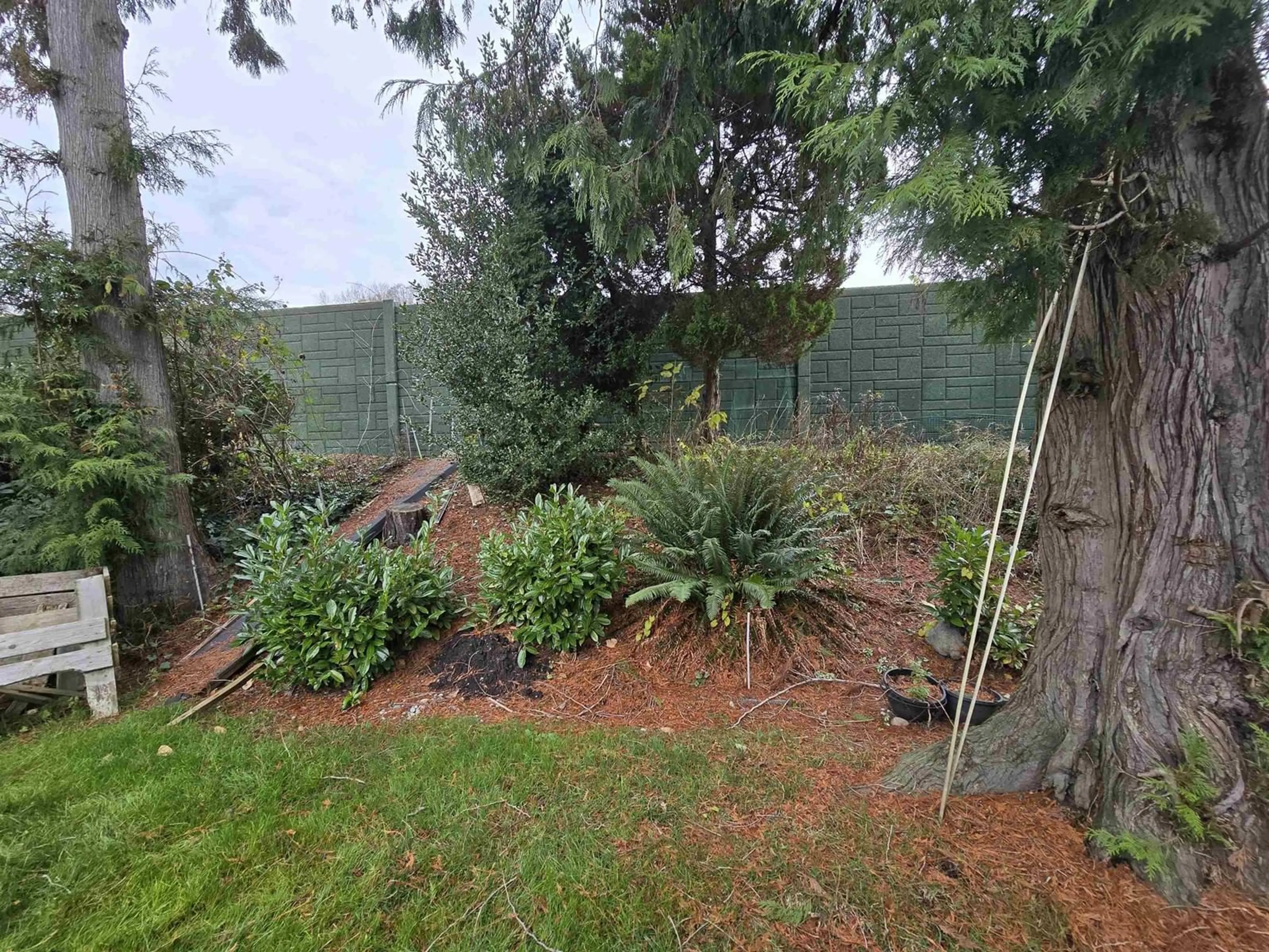 A pic from outside/outdoor area/front of a property/back of a property/a pic from drone, forest/trees view for 125 1840 160 STREET, Surrey British Columbia V4A4X4