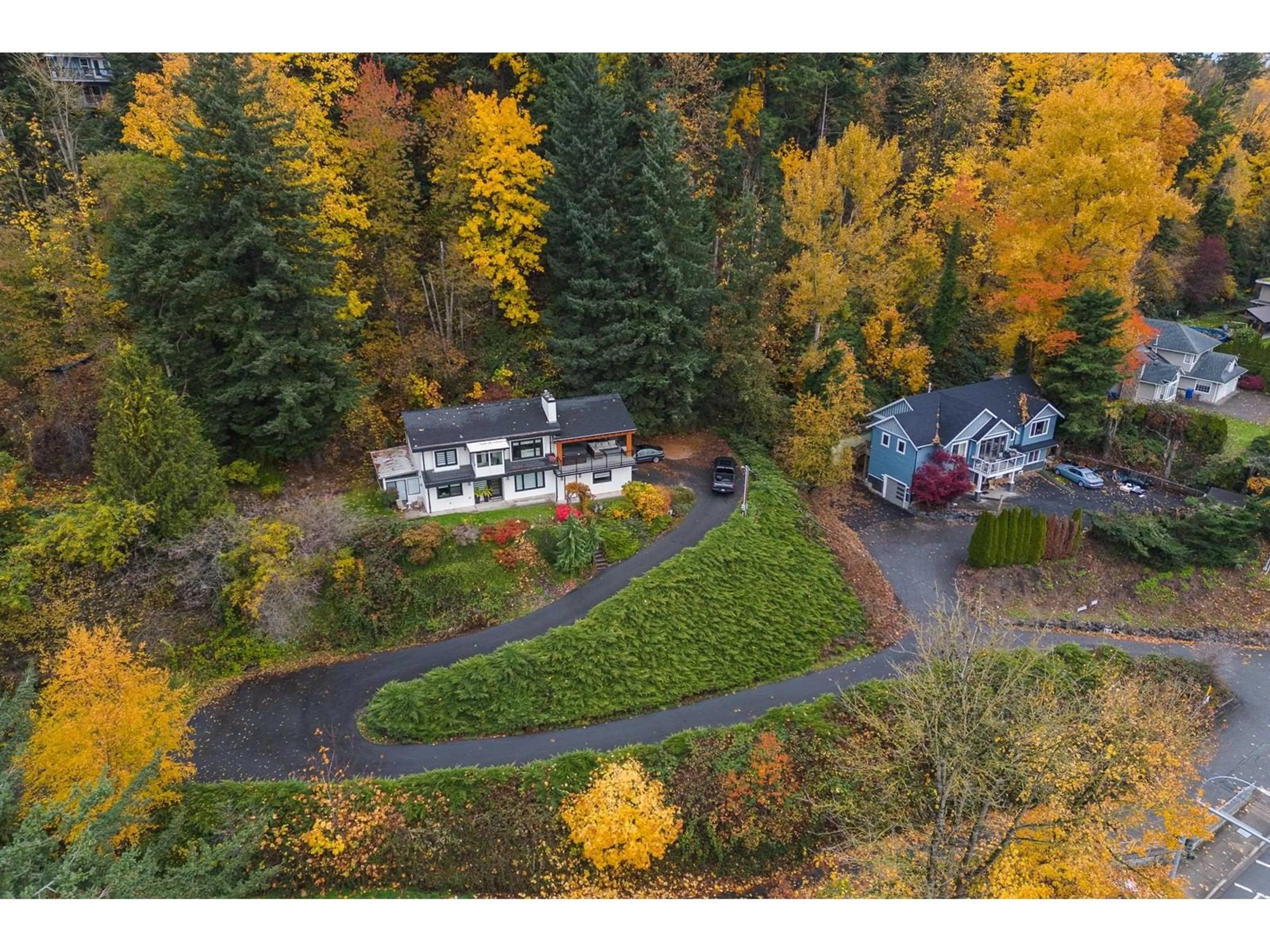 A pic from outside/outdoor area/front of a property/back of a property/a pic from drone, forest/trees view for 35737 OLD YALE ROAD, Abbotsford British Columbia V3G2C6