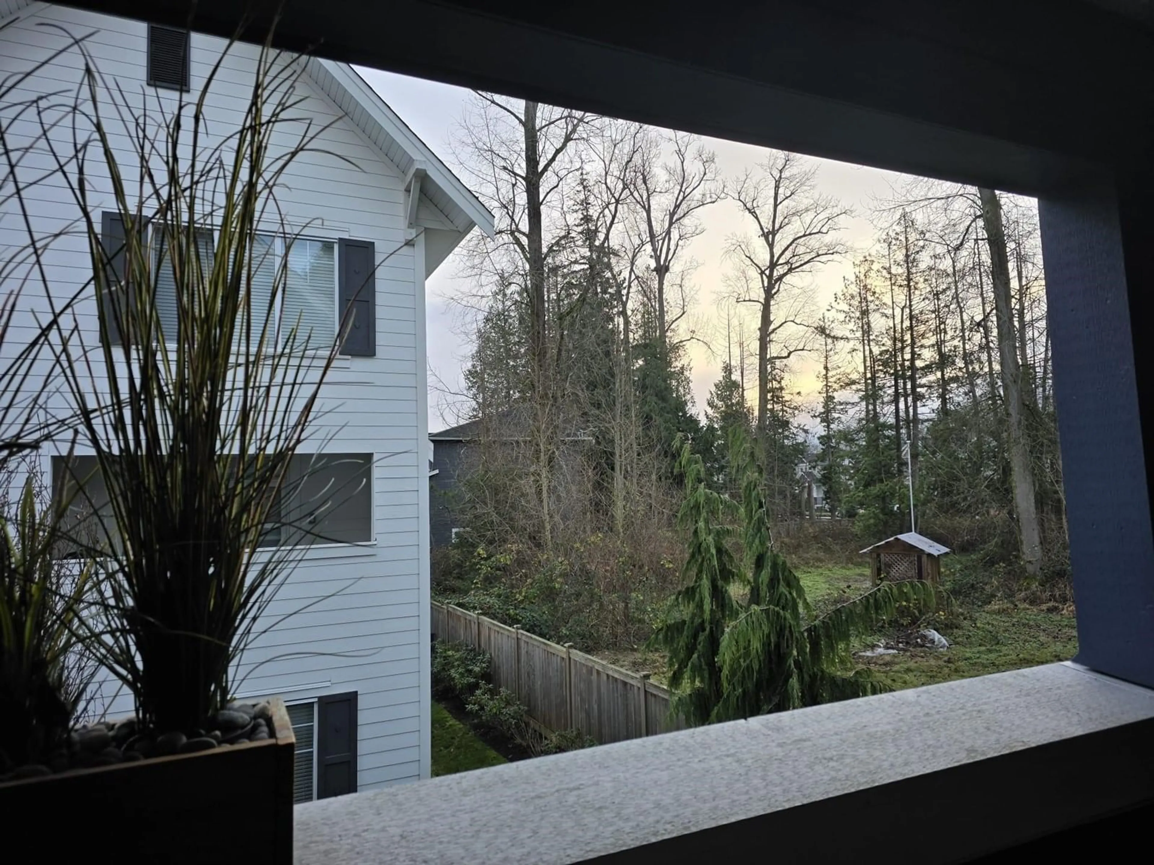 A pic from outside/outdoor area/front of a property/back of a property/a pic from drone, forest/trees view for 56 158 171 STREET, Surrey British Columbia V3Z0X1