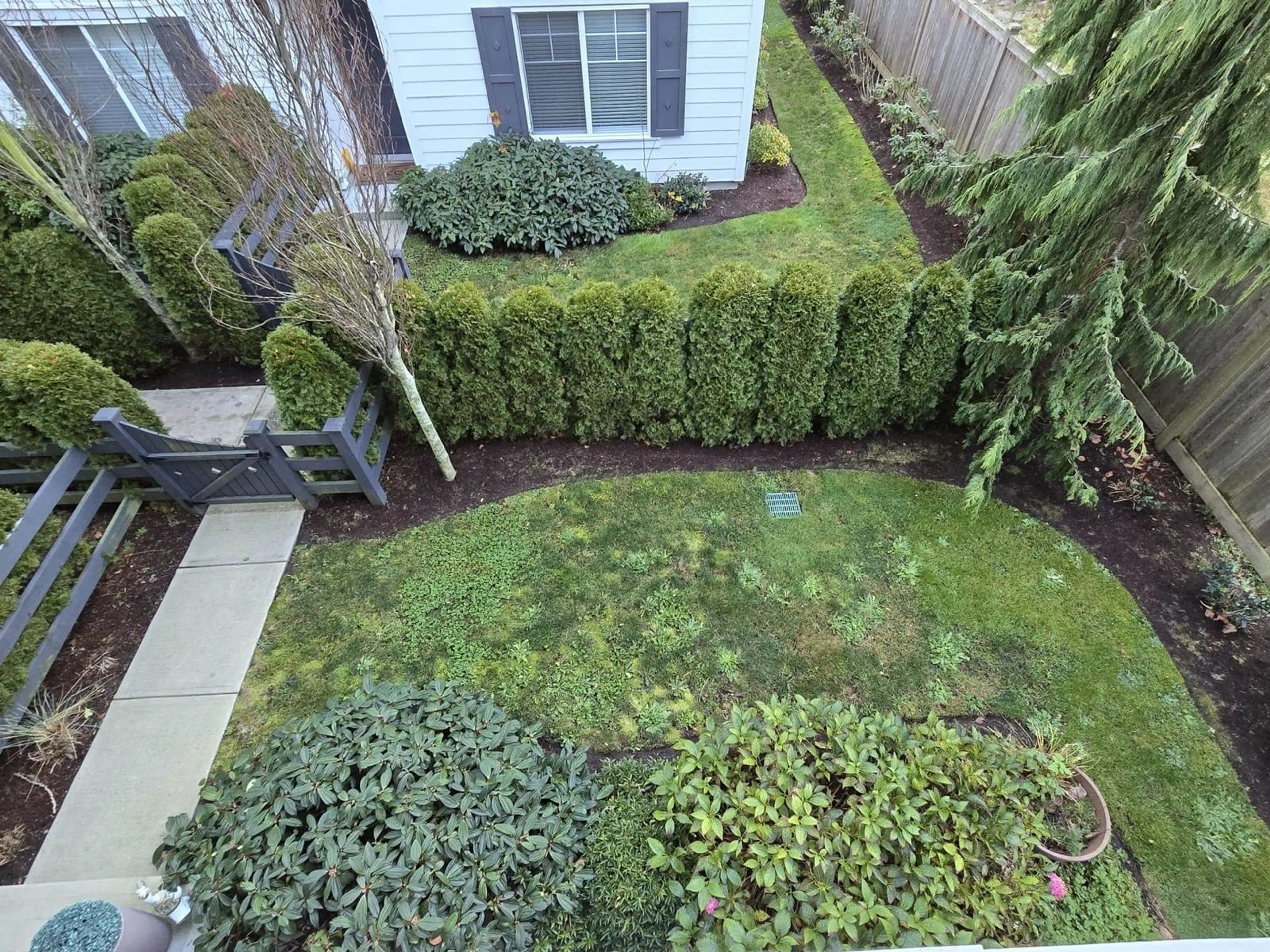 A pic from outside/outdoor area/front of a property/back of a property/a pic from drone, street for 56 158 171 STREET, Surrey British Columbia V3Z0X1