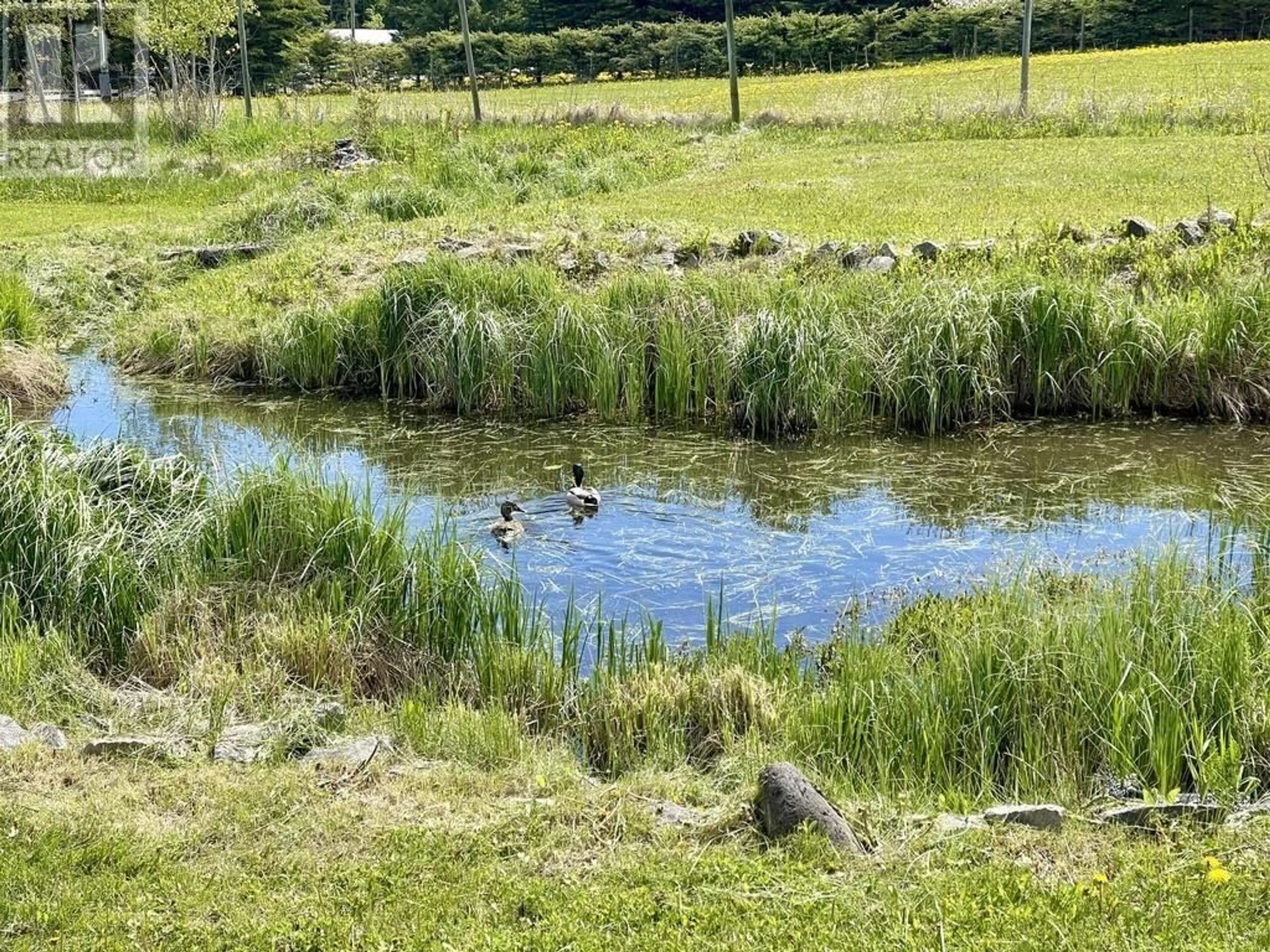 A pic from outside/outdoor area/front of a property/back of a property/a pic from drone, water/lake/river/ocean view for 6192 HUNT ROAD, 100 Mile House British Columbia V0K2E3