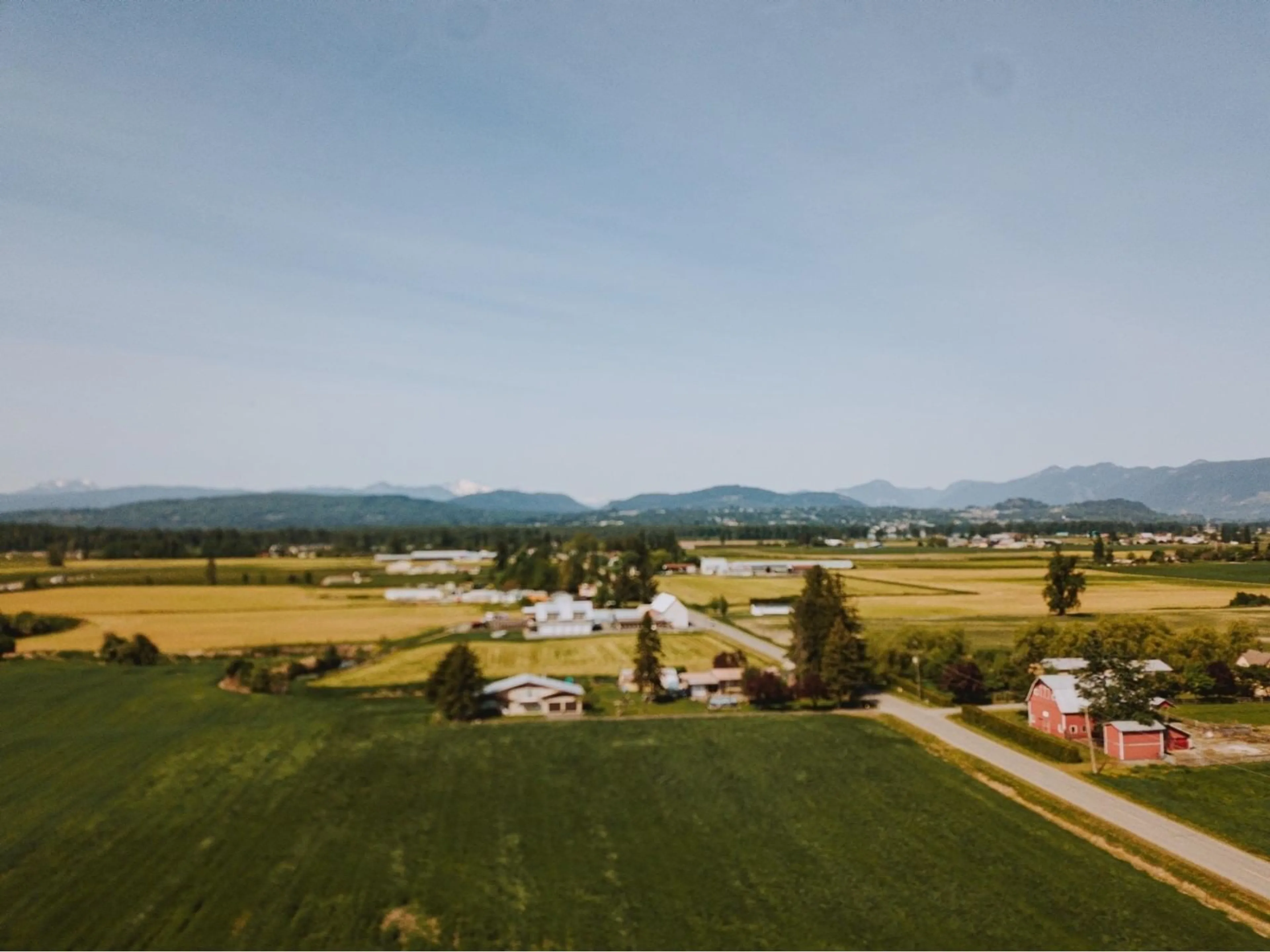 A pic from outside/outdoor area/front of a property/back of a property/a pic from drone, mountain view for 31987 TOWNSHIPLINE ROAD, Abbotsford British Columbia V4X1M4