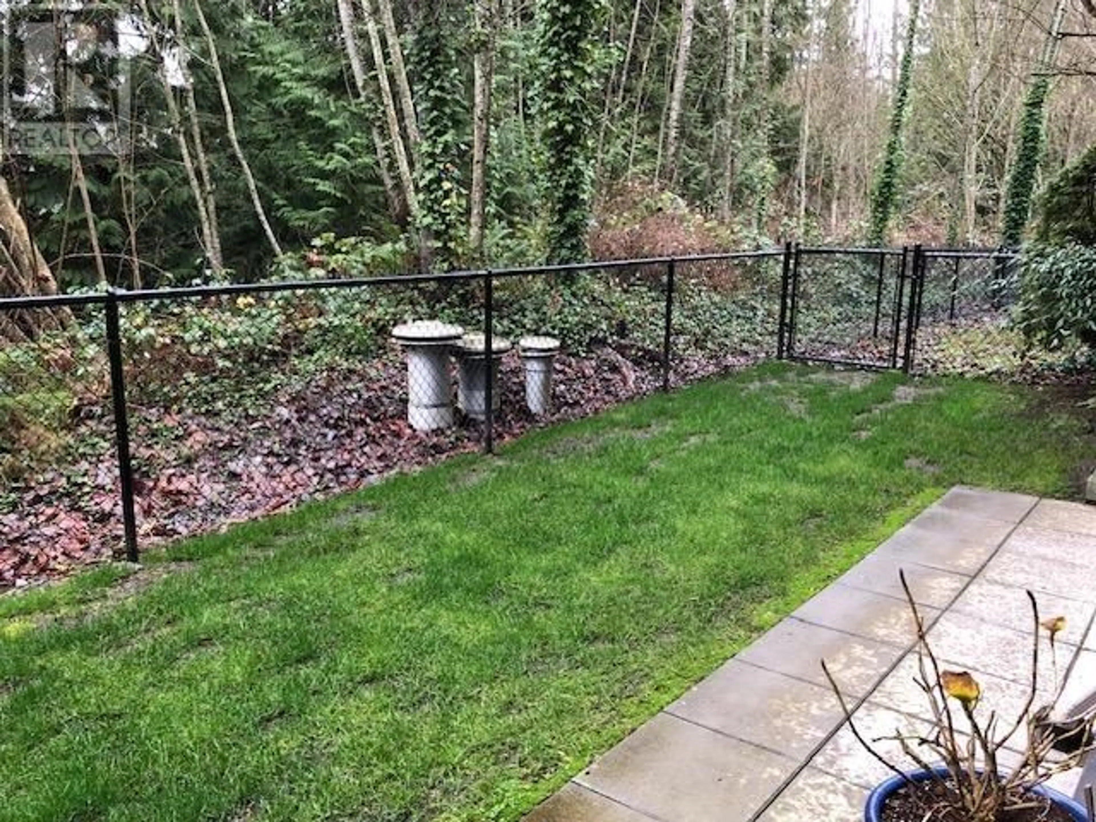 A pic from outside/outdoor area/front of a property/back of a property/a pic from drone, forest/trees view for 113 11665 HANEY BYPASS, Maple Ridge British Columbia V2X8W9