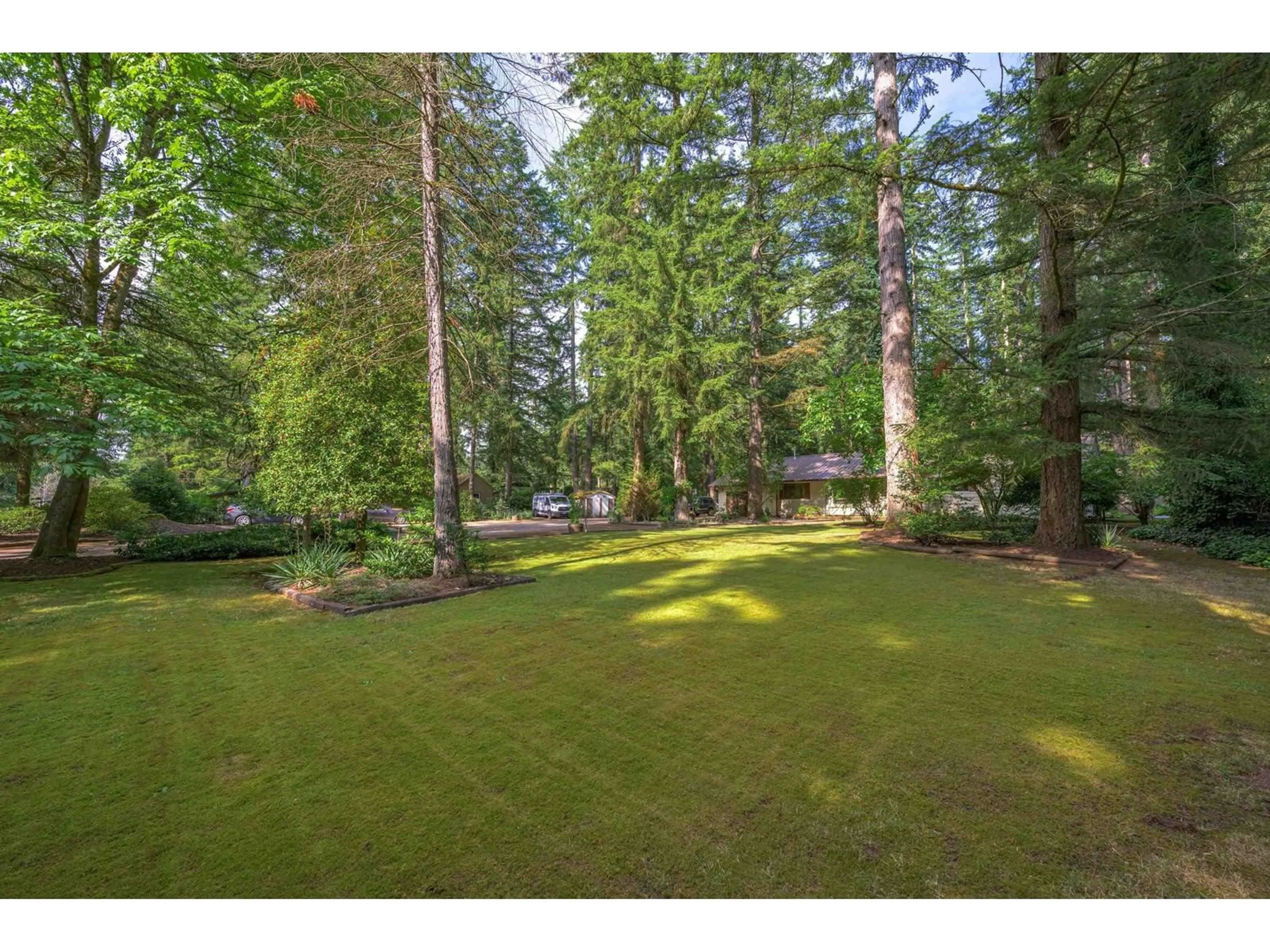 A pic from outside/outdoor area/front of a property/back of a property/a pic from drone, forest/trees view for 2546 200 STREET, Langley British Columbia V2Z1X1