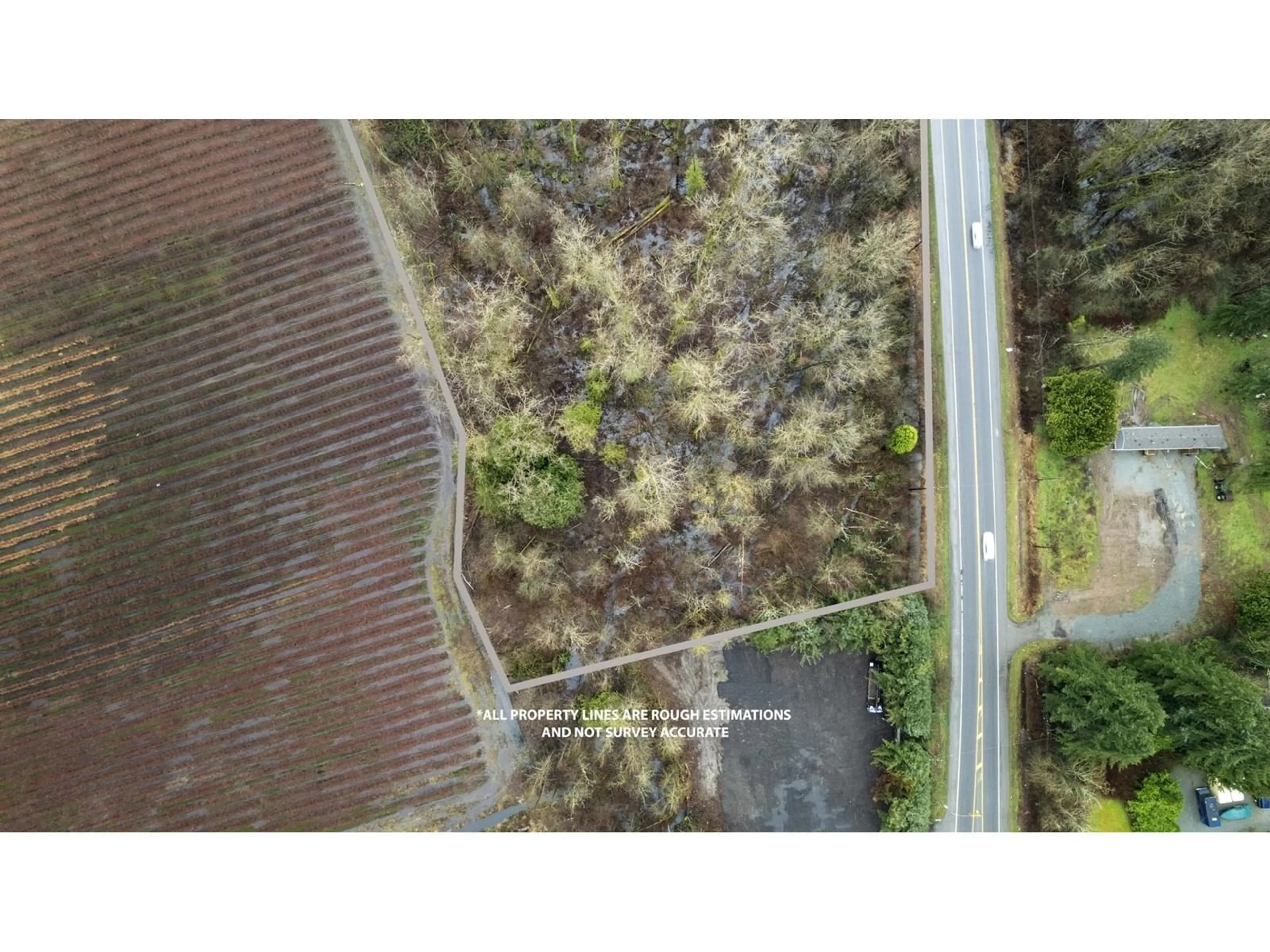 A pic from outside/outdoor area/front of a property/back of a property/a pic from drone, forest/trees view for 24183 FRASER HIGHWAY, Langley British Columbia V2Z2K9