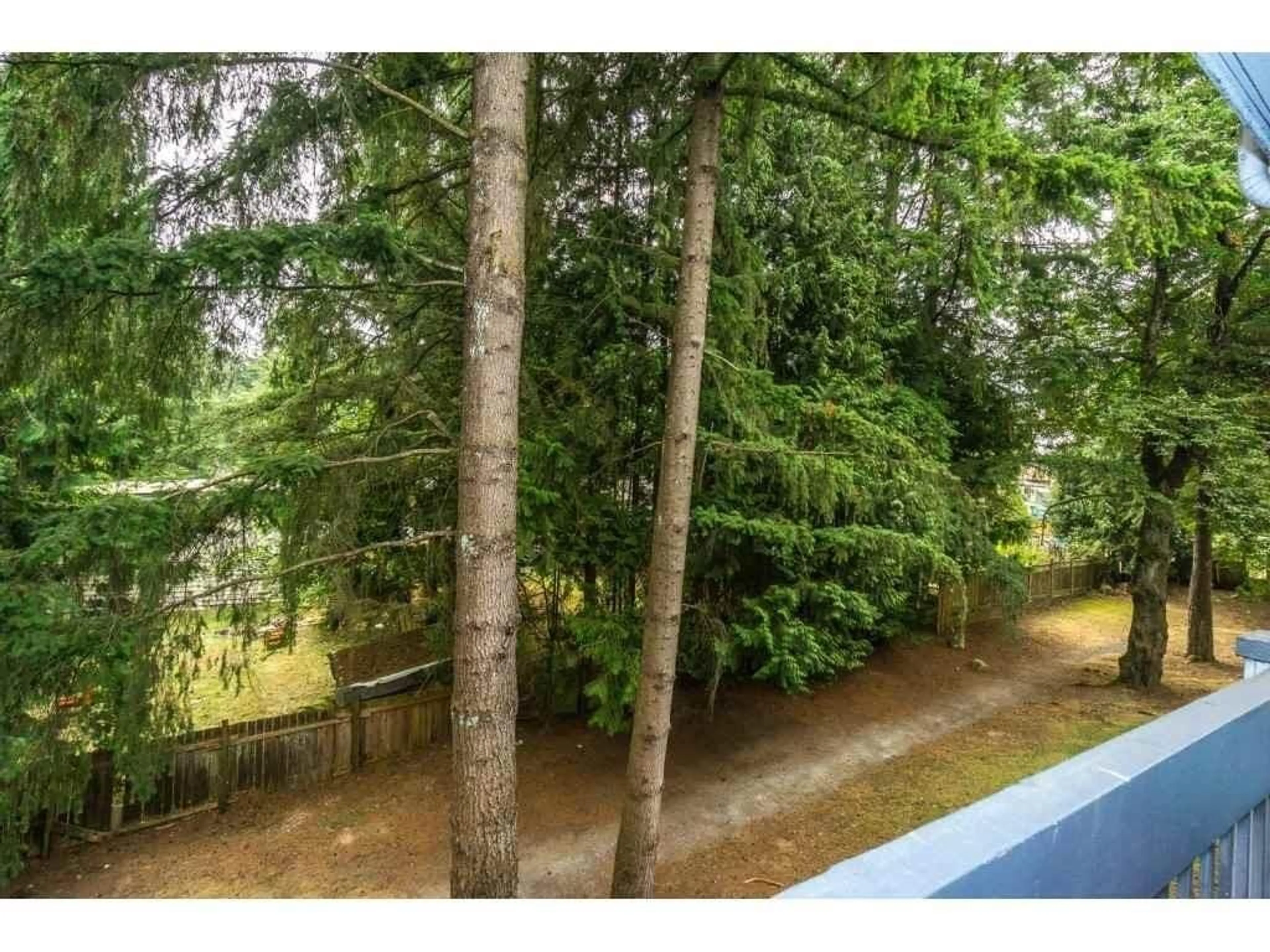 A pic from outside/outdoor area/front of a property/back of a property/a pic from drone, forest/trees view for 216 10530 154 STREET, Surrey British Columbia V3R8A2