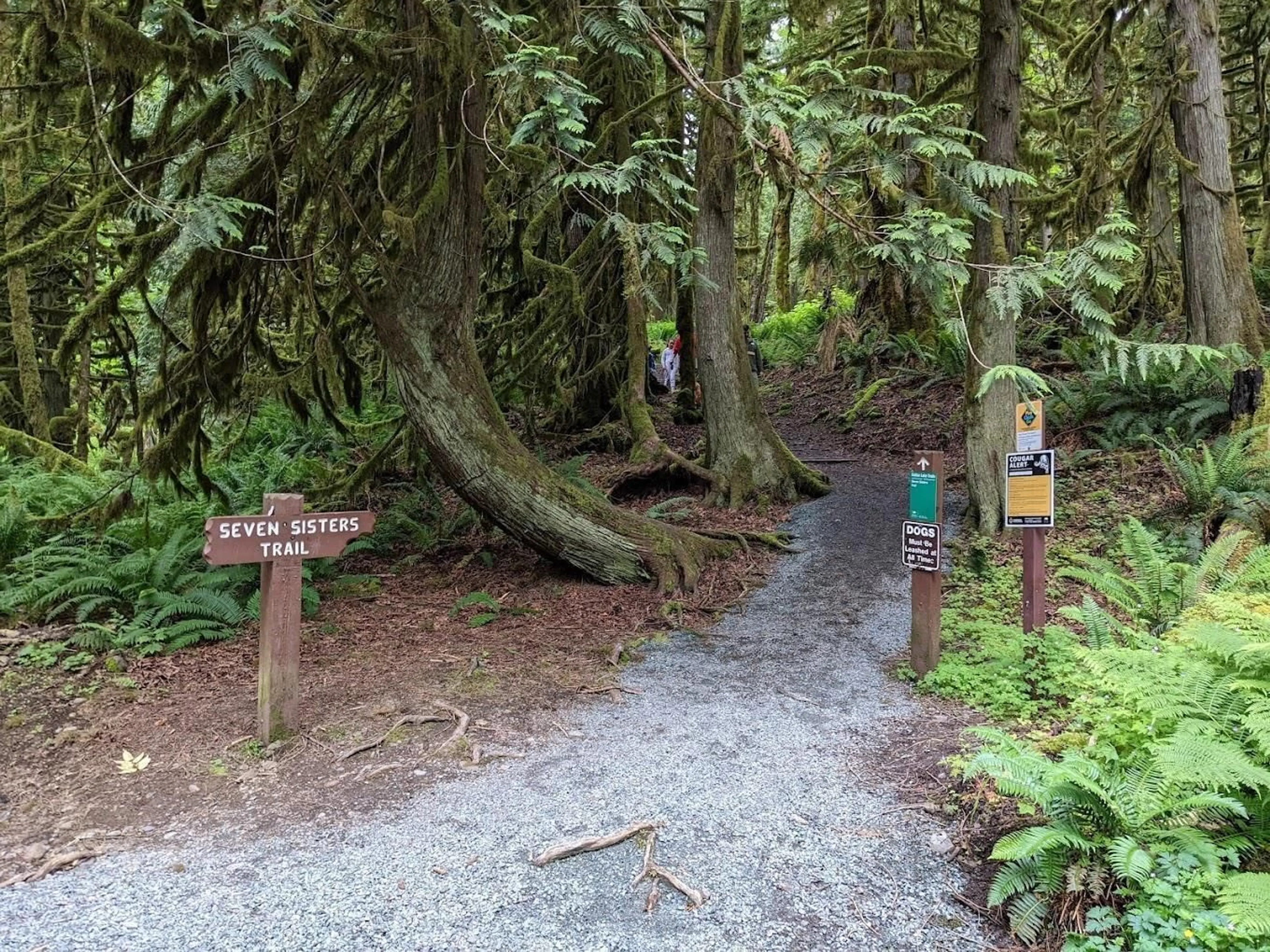 Unknown for 207 - 45835 SLEEPY HOLLOW ROAD, Cultus Lake British Columbia V2R5A9