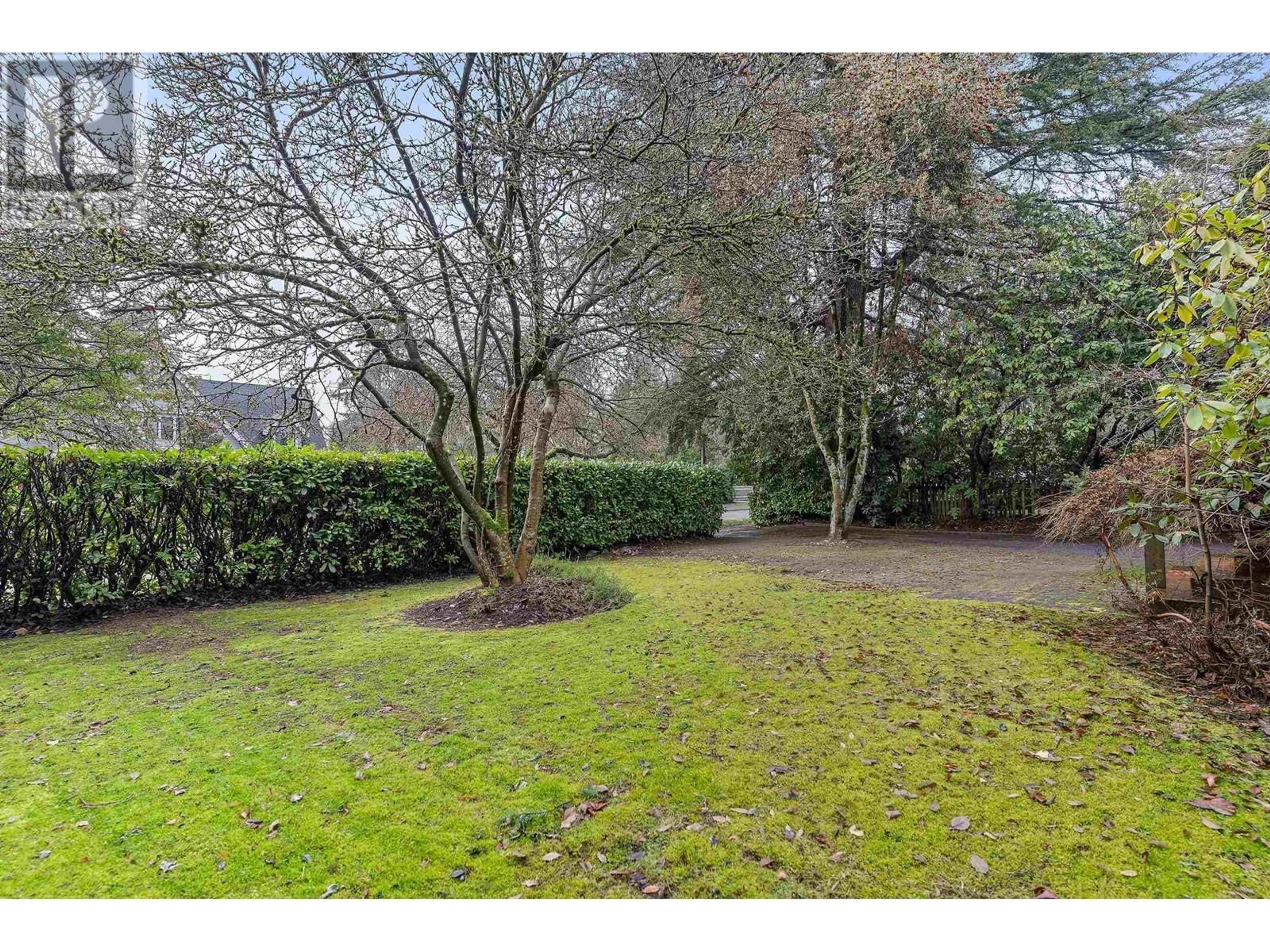 A pic from outside/outdoor area/front of a property/back of a property/a pic from drone, forest/trees view for 6388 CHURCHILL STREET, Vancouver British Columbia V6M3H9