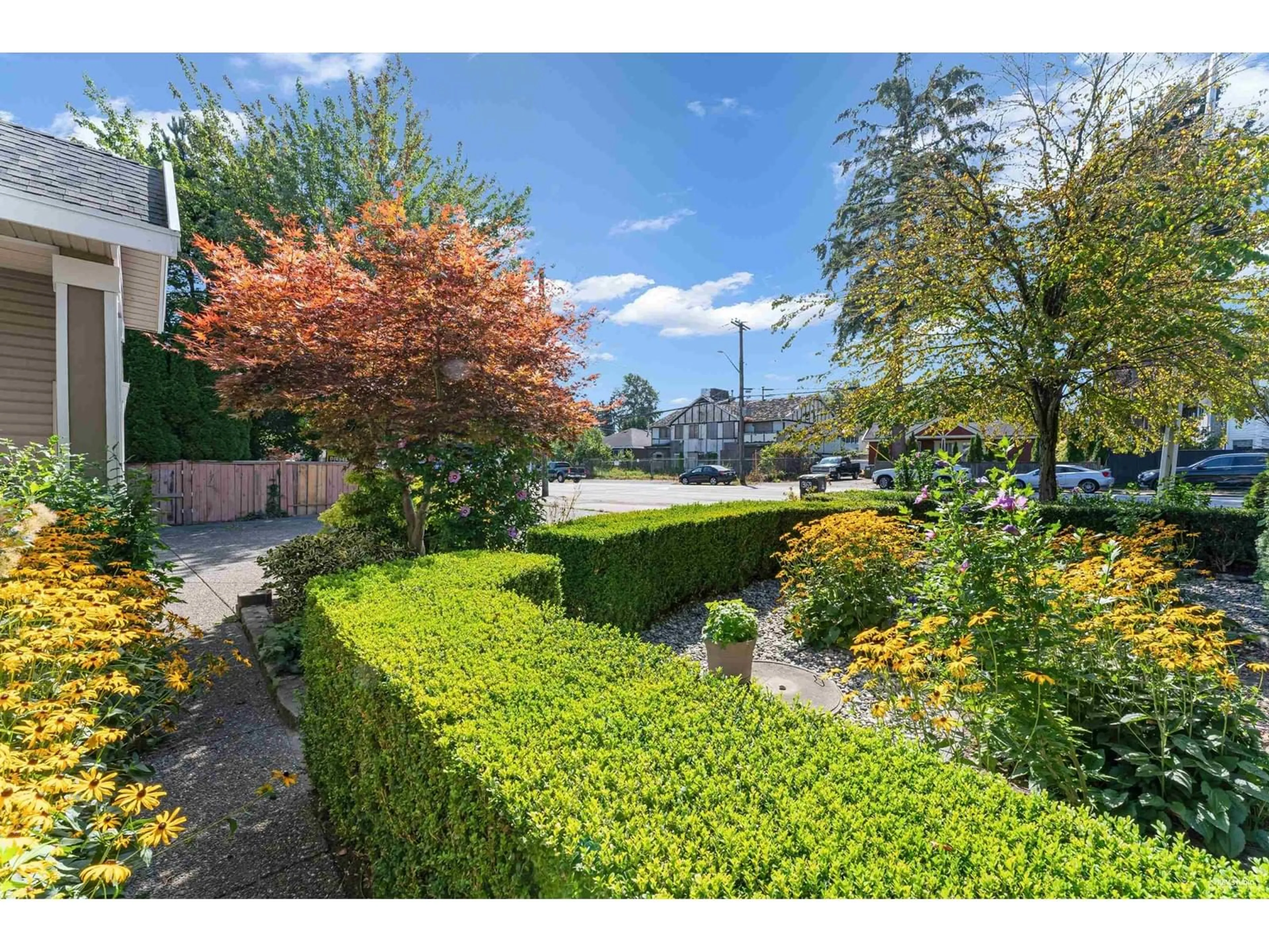 A pic from outside/outdoor area/front of a property/back of a property/a pic from drone, street for 13169 108 AVENUE, Surrey British Columbia V3T2J3