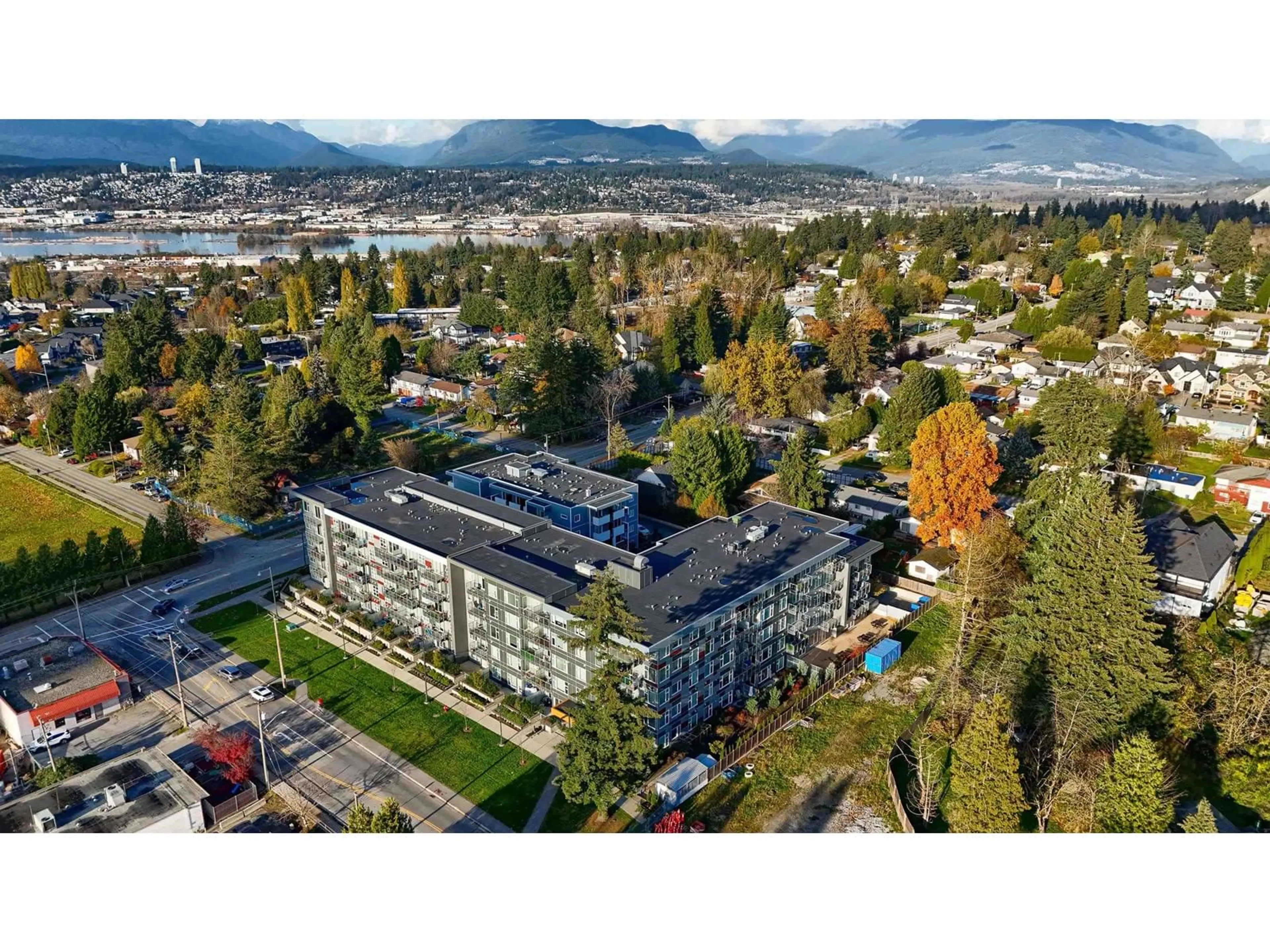 A pic from outside/outdoor area/front of a property/back of a property/a pic from drone, mountain view for 301 10838 WHALLEY BOULEVARD, Surrey British Columbia V3R0G8