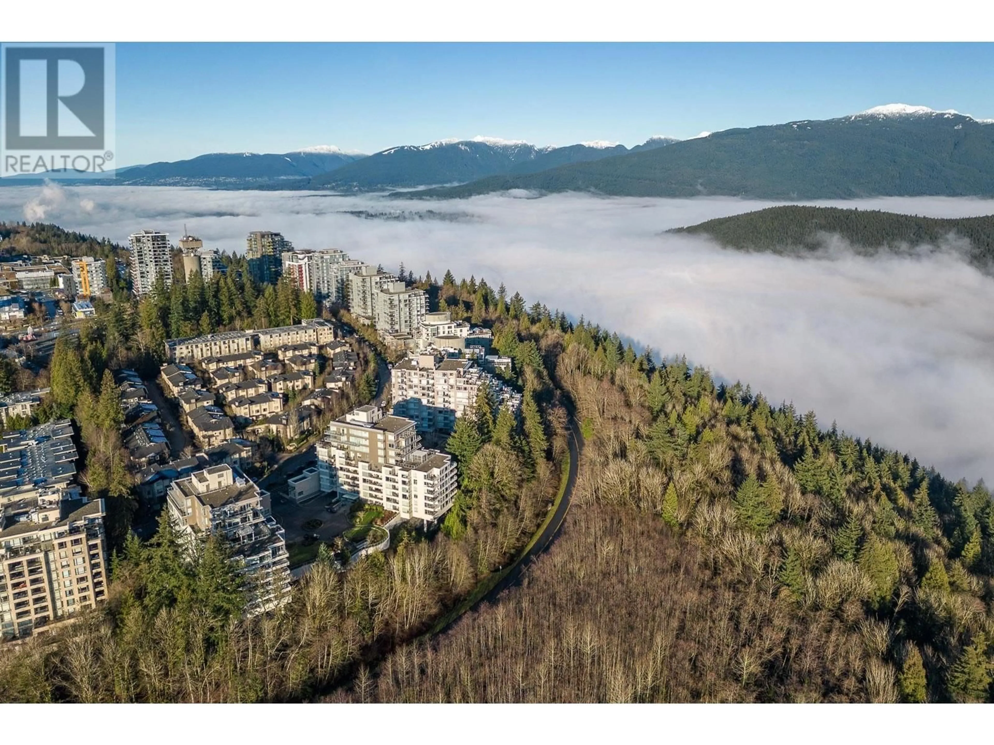 A pic from outside/outdoor area/front of a property/back of a property/a pic from drone, mountain view for 202 9288 UNIVERSITY CRESCENT, Burnaby British Columbia V5A4X7