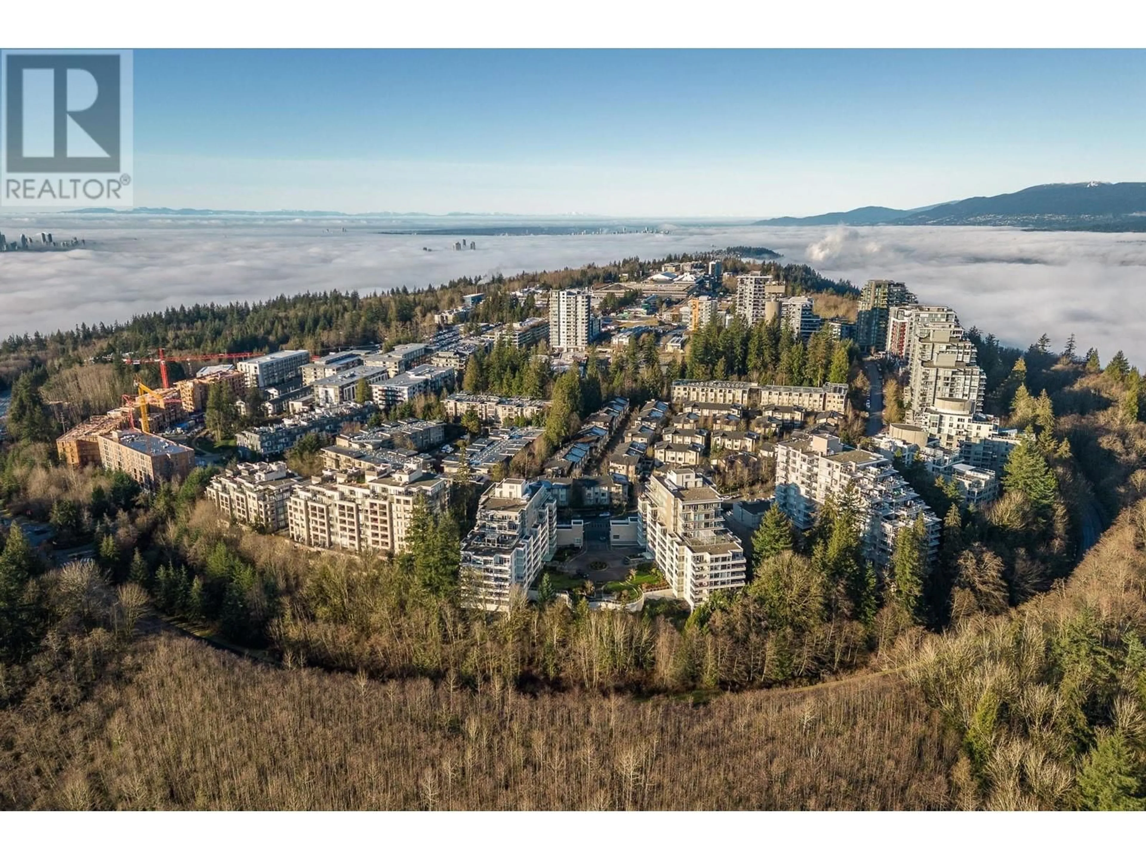 A pic from outside/outdoor area/front of a property/back of a property/a pic from drone, mountain view for 202 9288 UNIVERSITY CRESCENT, Burnaby British Columbia V5A4X7