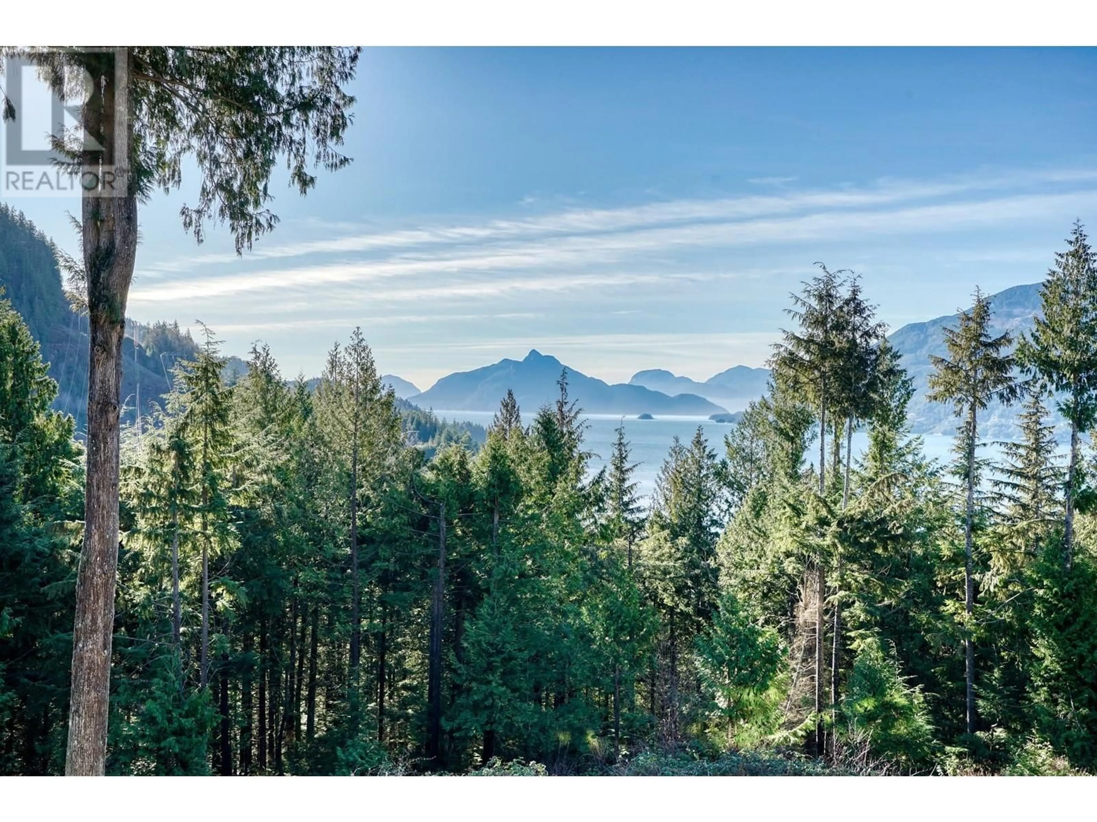 A pic from outside/outdoor area/front of a property/back of a property/a pic from drone, forest/trees view for 1024 GOAT RIDGE DRIVE, Britannia Beach British Columbia V8B1J2